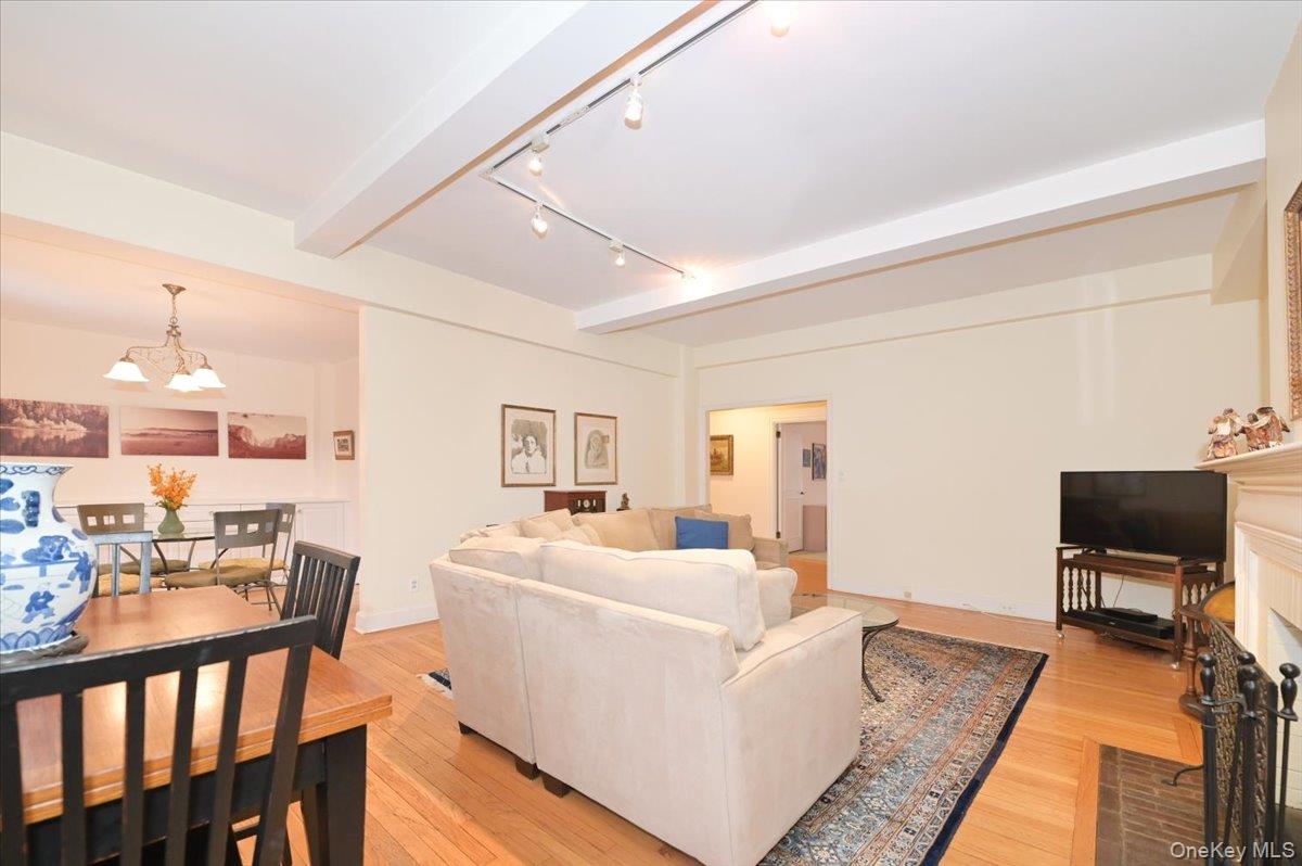 160 Middle Neck Road, Unit 2G Great Neck, NY 11021 - Photo 15 of 41 Large Living Room with Fireplace