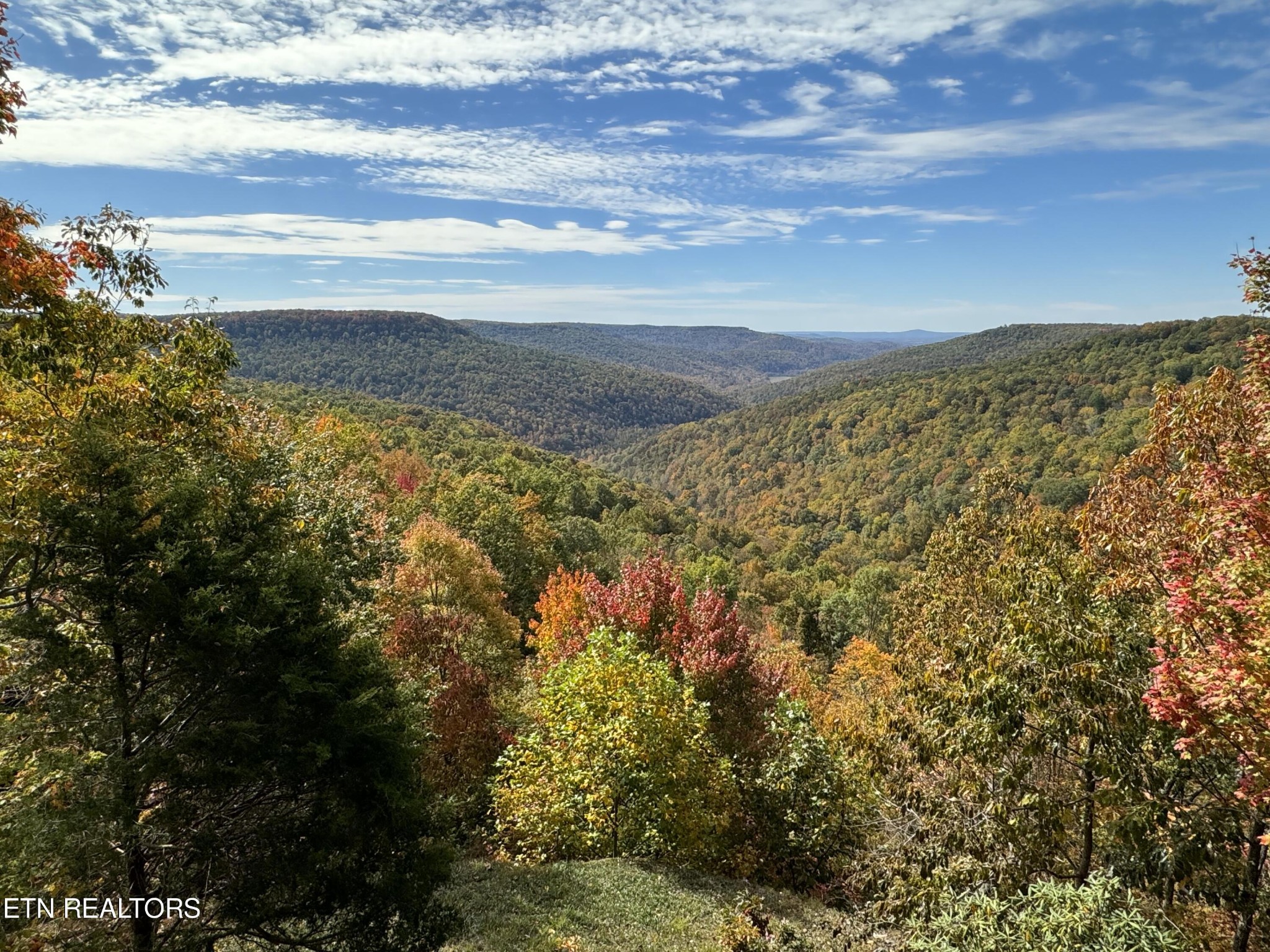 1540 East Overlook Road Monterey, TN 38574 - Photo 28 of 56 Gallery Image 28