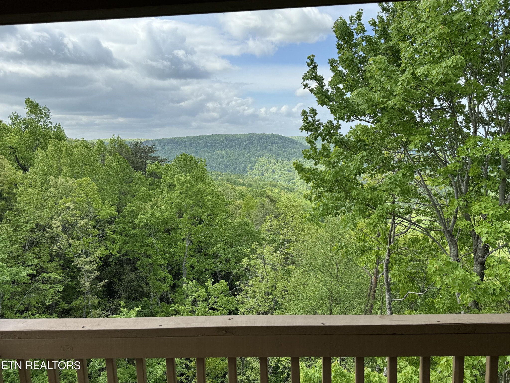 1540 East Overlook Road Monterey, TN 38574 - Photo 50 of 56 Gallery Image 50