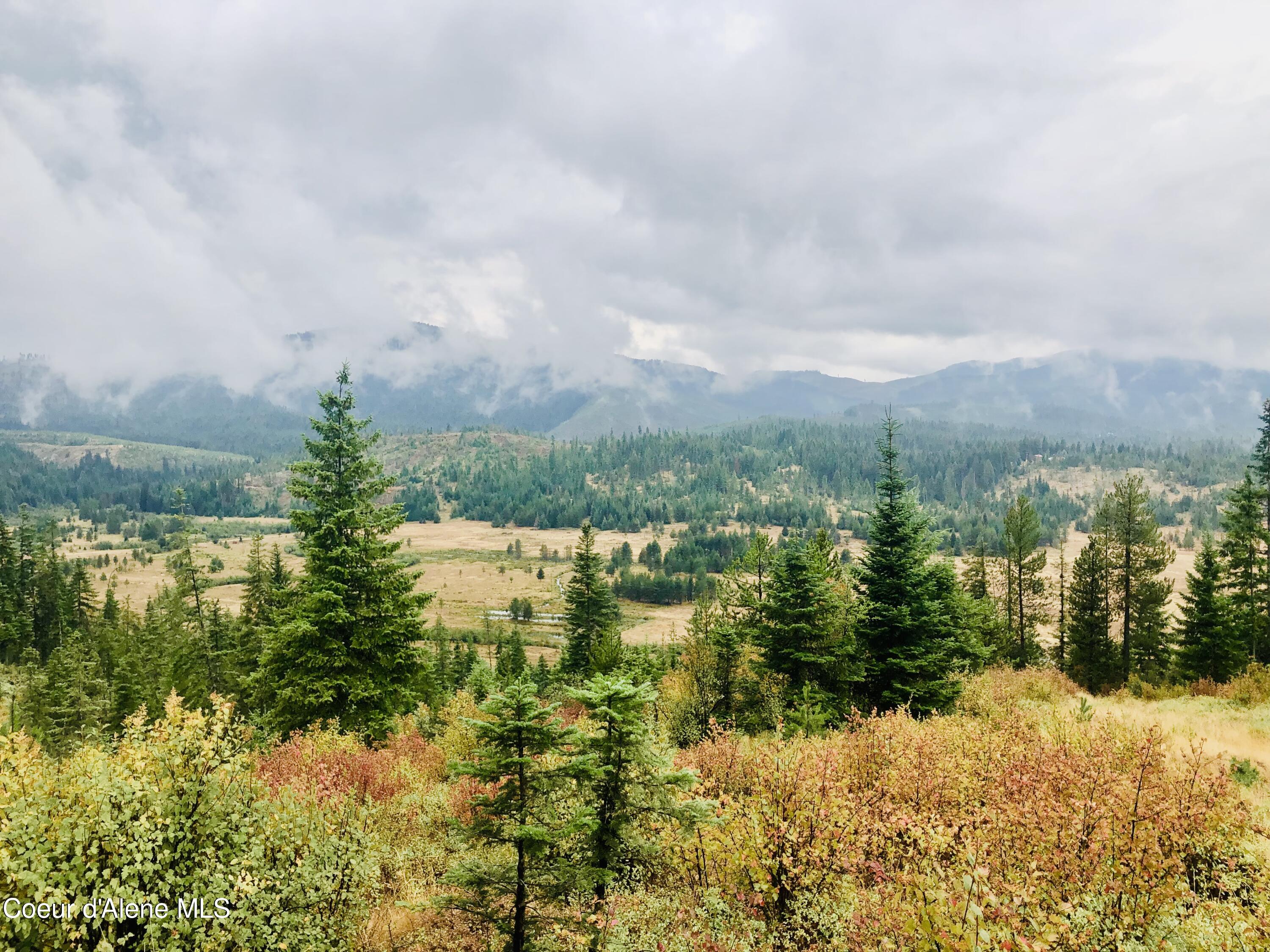 22 Carpenter Creek Road Fernwood, ID 83830 - Photo 1 of 1 IMG_0285