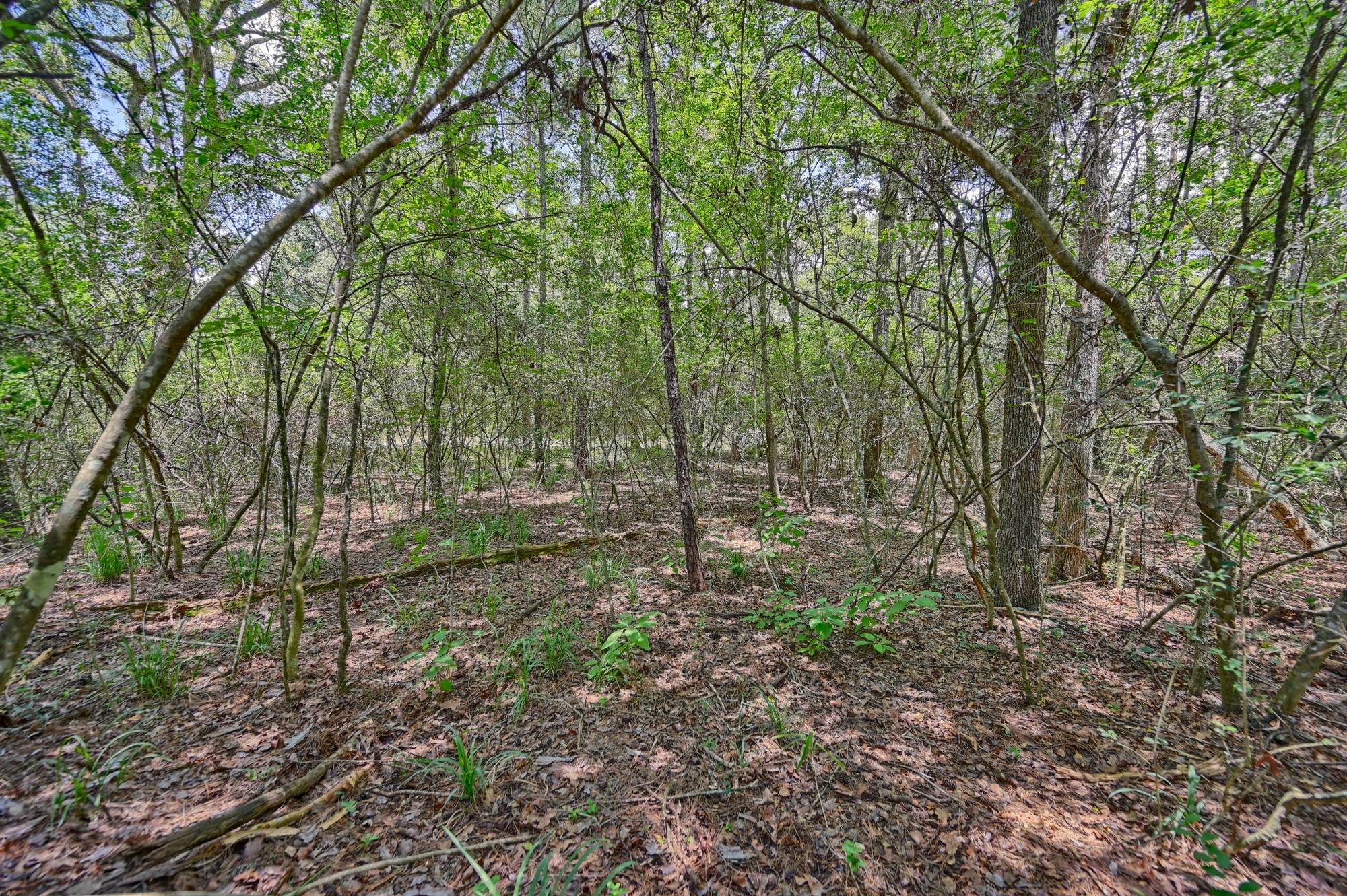 16893 Whippoorwill Road Navasota, TX 77868 - Photo 26 of 31