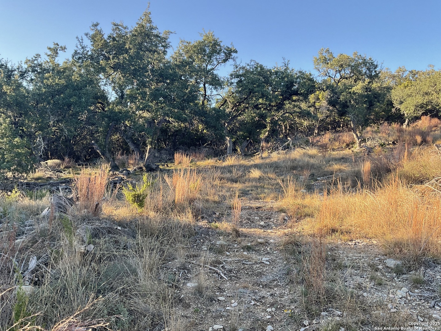 113 Champion Way Spring Branch, TX 78070 - Photo 6 of 13