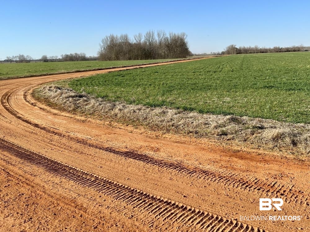 0 Byrd Road Atmore, AL 36502 - Photo 18 of 27 Gallery Image 18