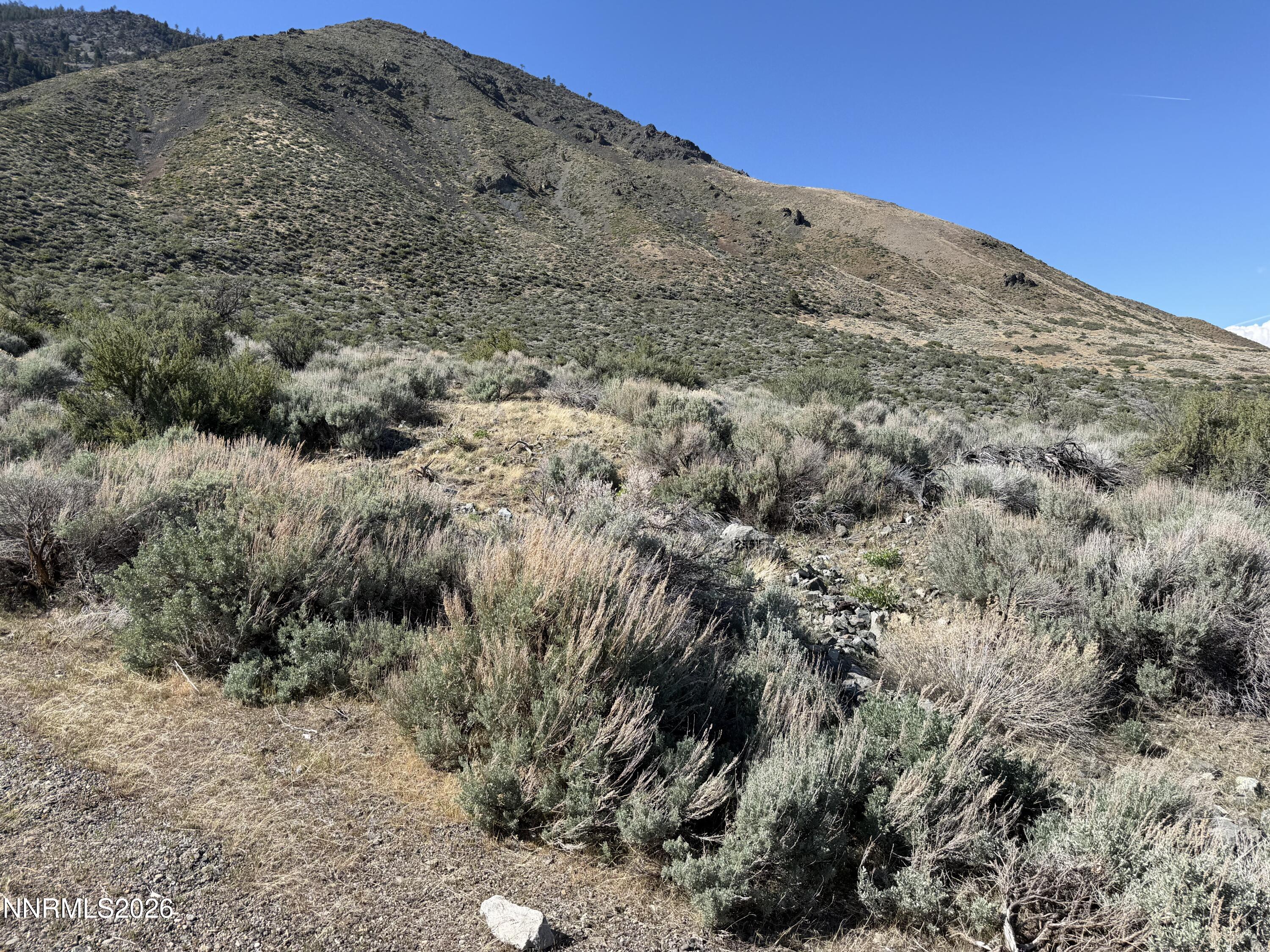 2557 Eagle Ridge Road Genoa, NV 89411 - Photo 3 of 8 IMG_2802