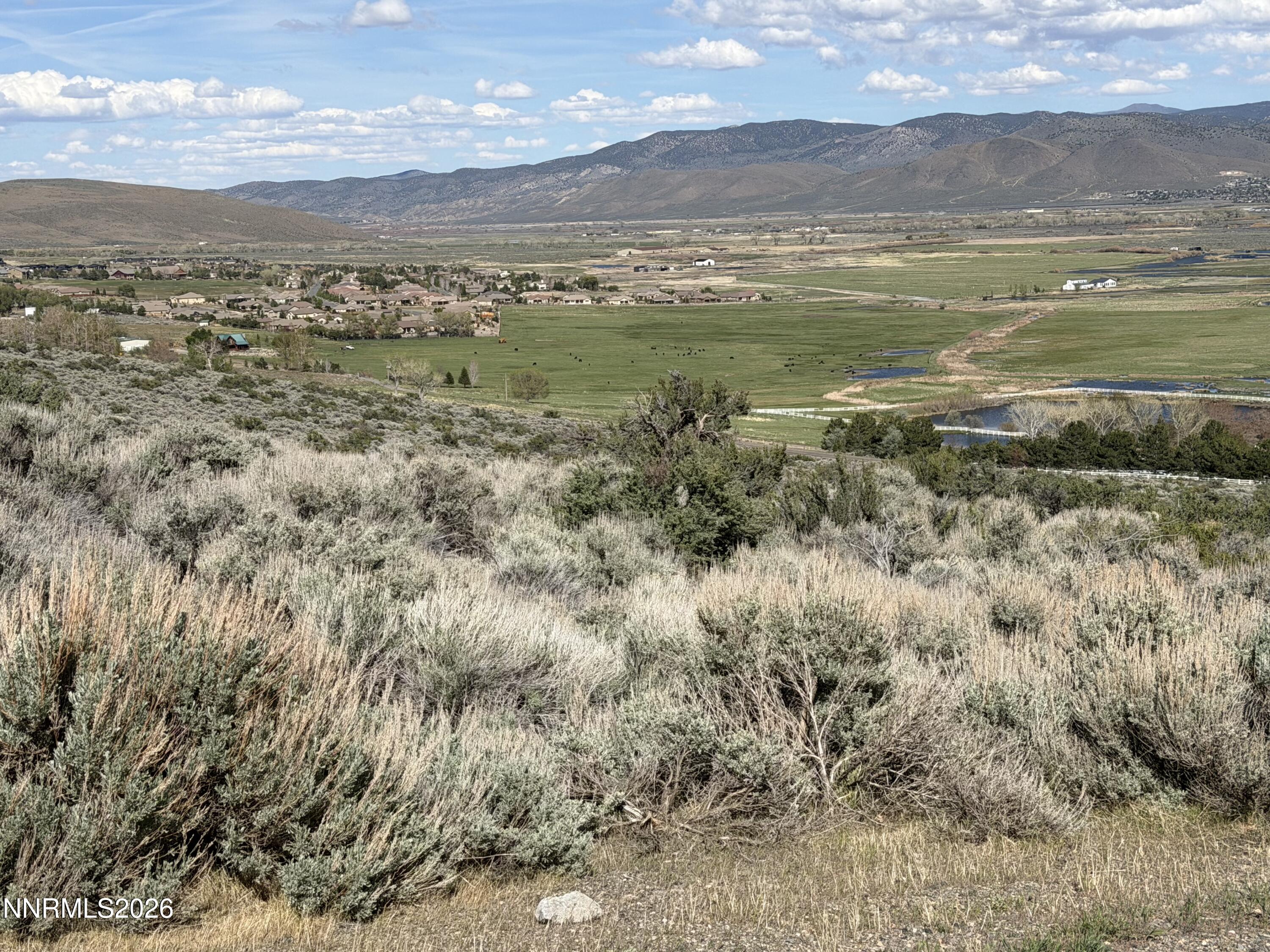 2557 Eagle Ridge Road Genoa, NV 89411 - Photo 5 of 8 IMG_2804