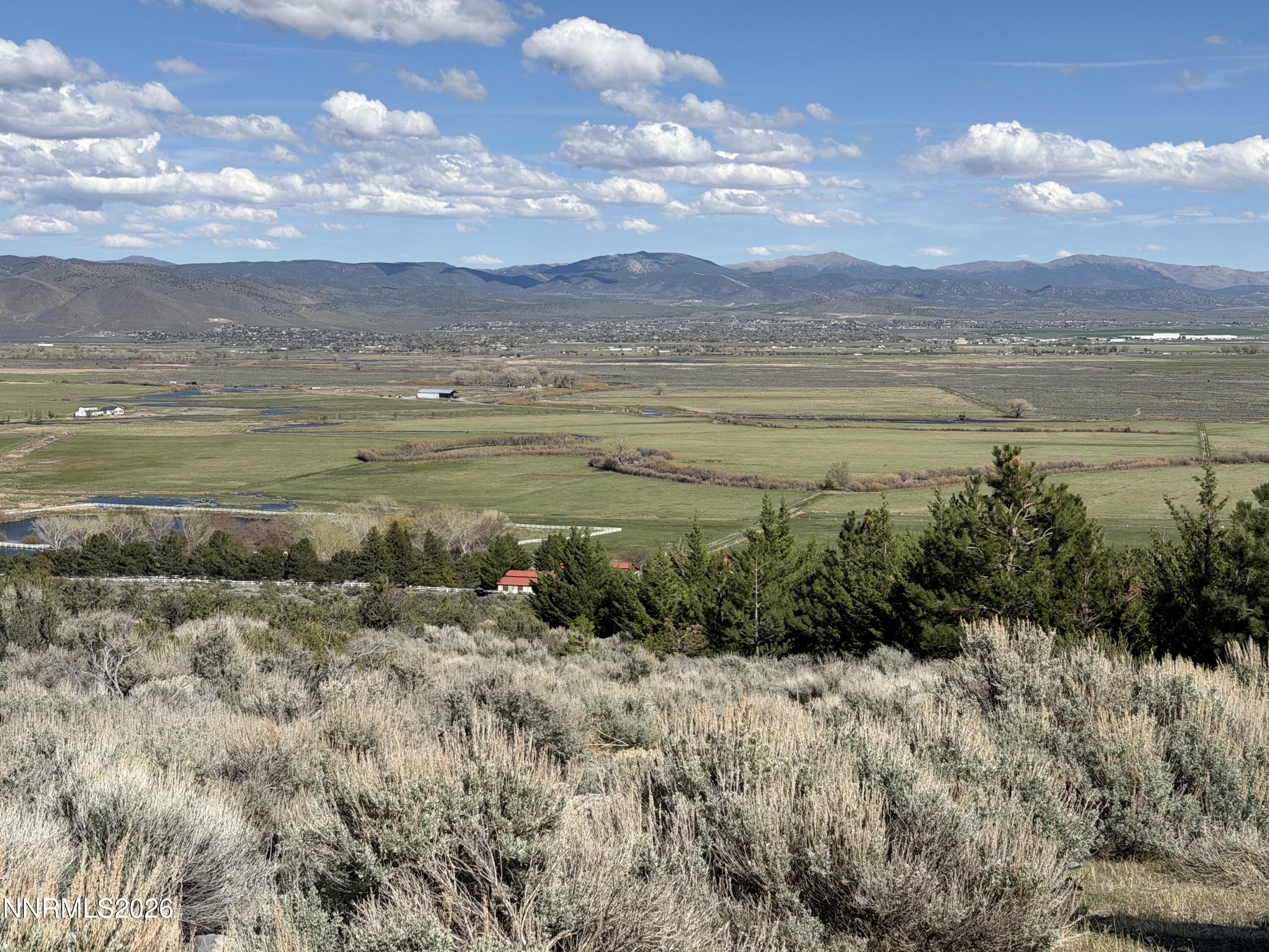 2557 Eagle Ridge Road Genoa, NV 89411 - Photo 6 of 8 IMG_2808