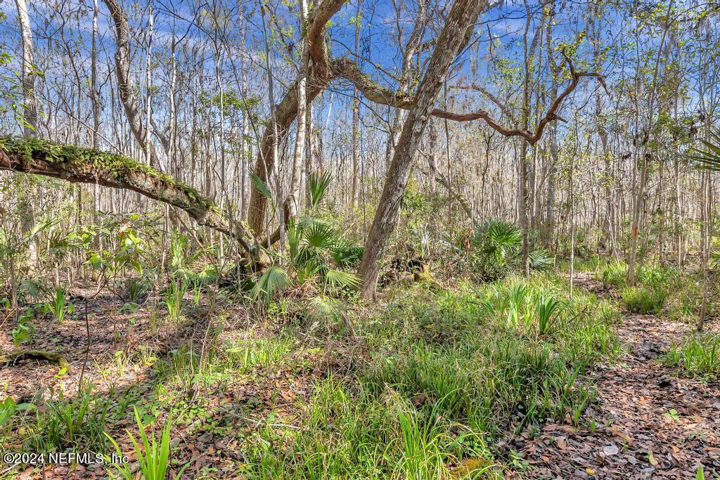 6310 Jack Wright Island Road St. Augustine, FL 32092 - Photo 38 of 57 6310 Jack Wright Island Rd-48