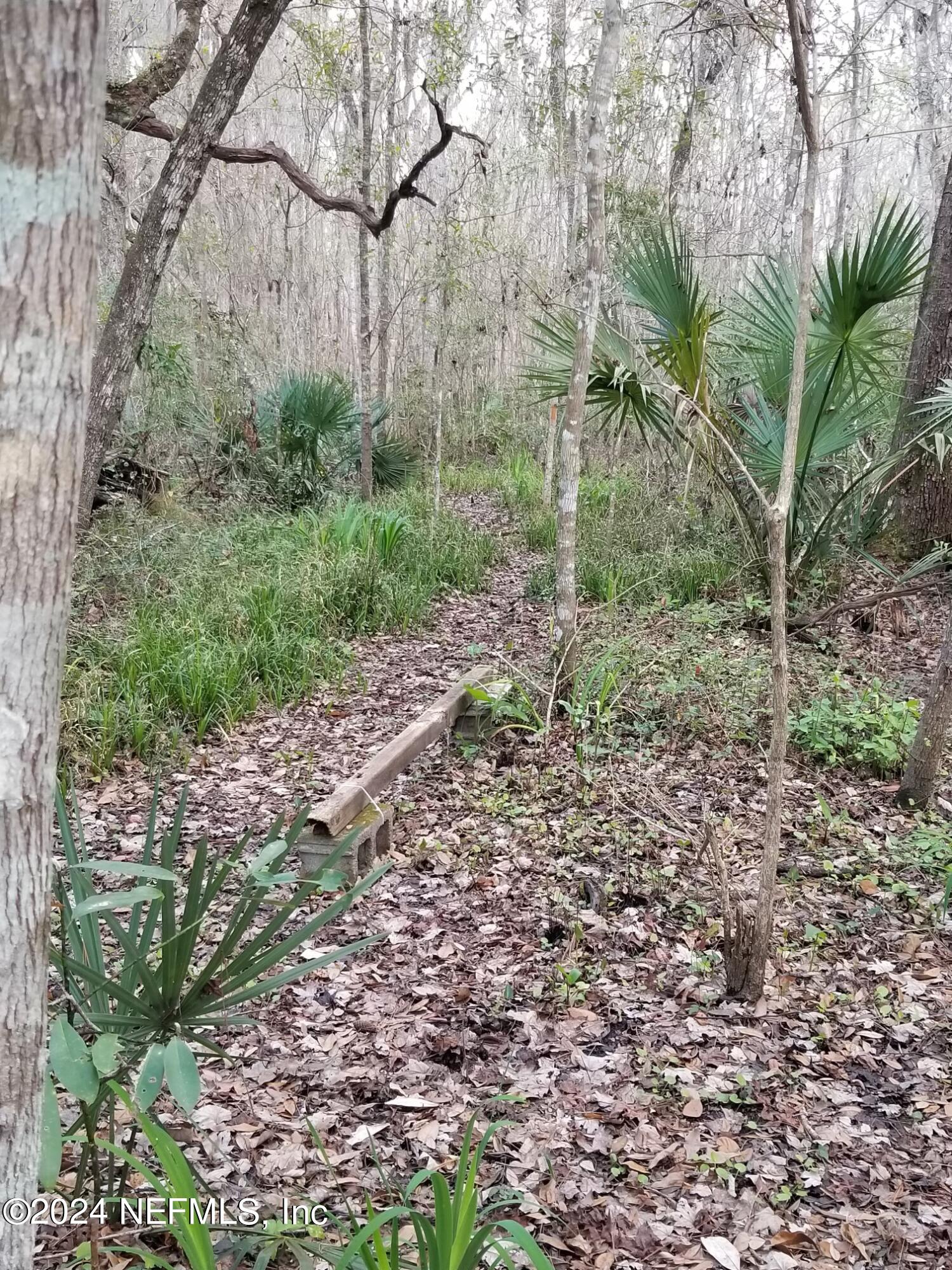 6310 Jack Wright Island Road St. Augustine, FL 32092 - Photo 40 of 57 IMG_2297