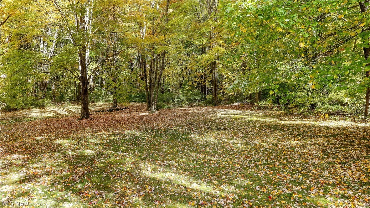 12464 Alpha Road Hiram, OH 44234 - Photo 31 of 33 Beautiful wooded lot with creek