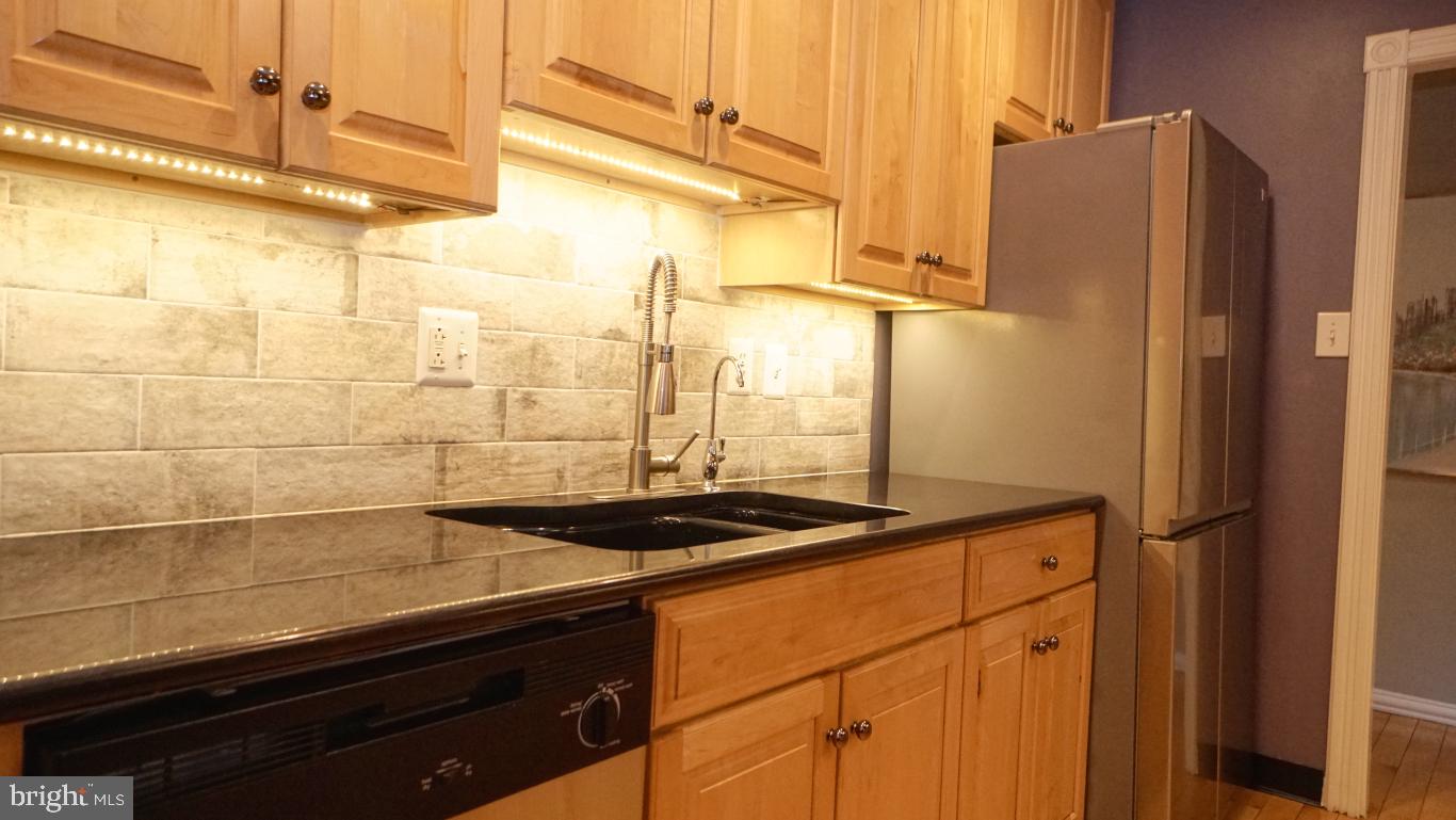 11036 Saffold Way Reston, VA 20190 - Photo 5 of 46 Kitchen - Custom Sink/Fixtures