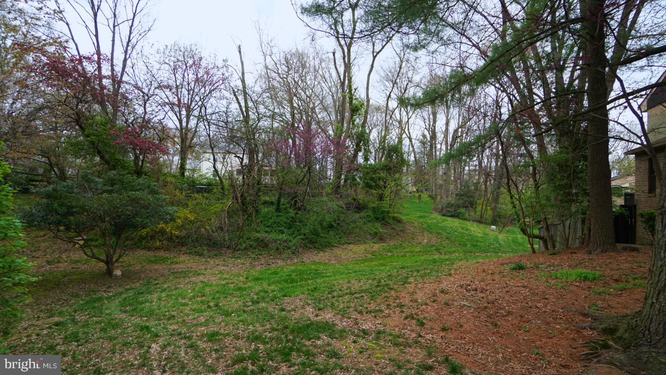 11036 Saffold Way Reston, VA 20190 - Photo 46 of 46 Rear View