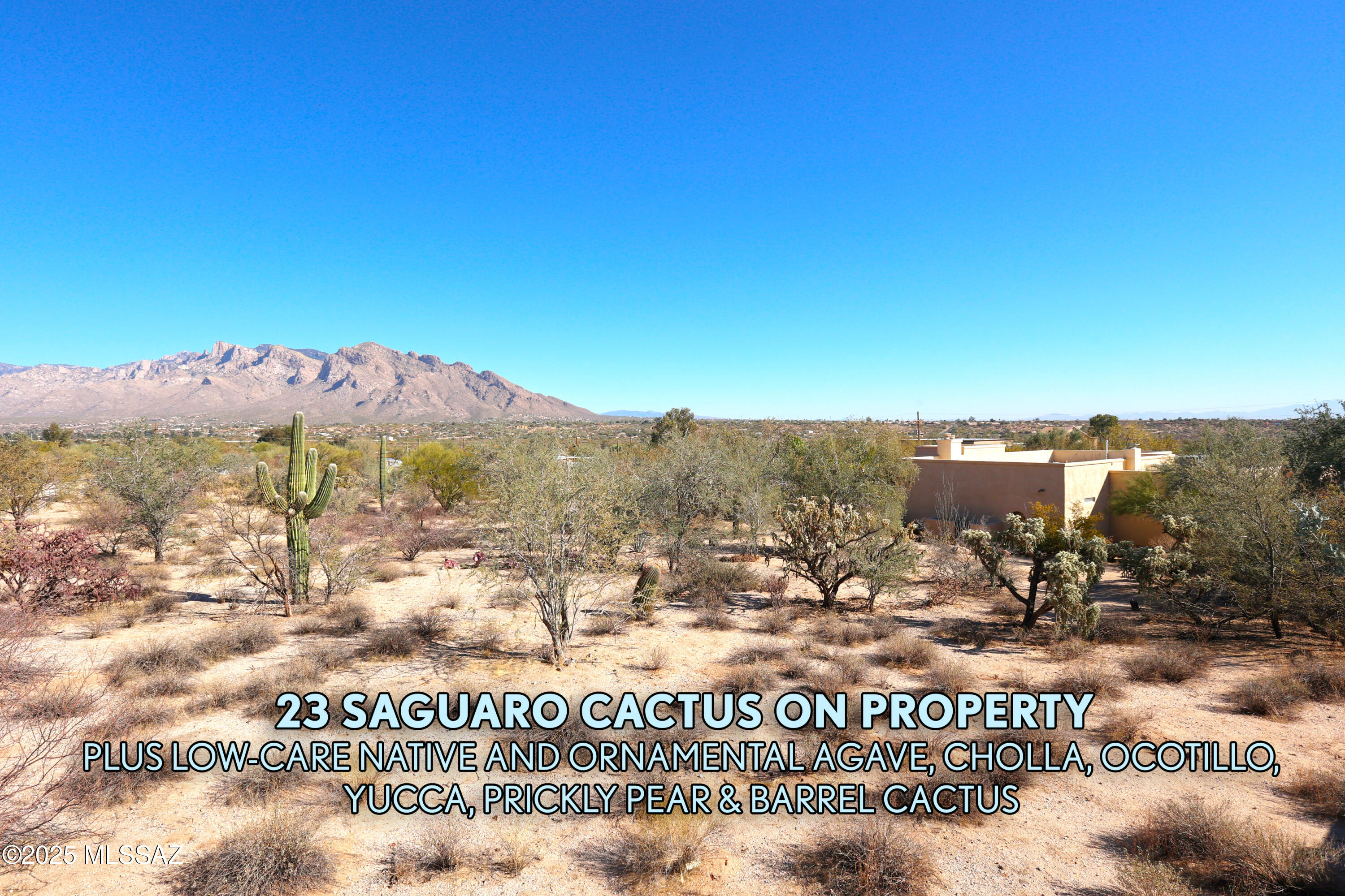 2040 West Lucero Road Oro Valley, AZ 85737 - Photo 40 of 46