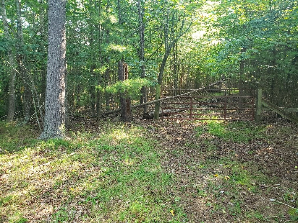 Tbd Grouse Ridge Road Max Meadows, VA 24360 - Photo 7 of 11 Gallery Image 7