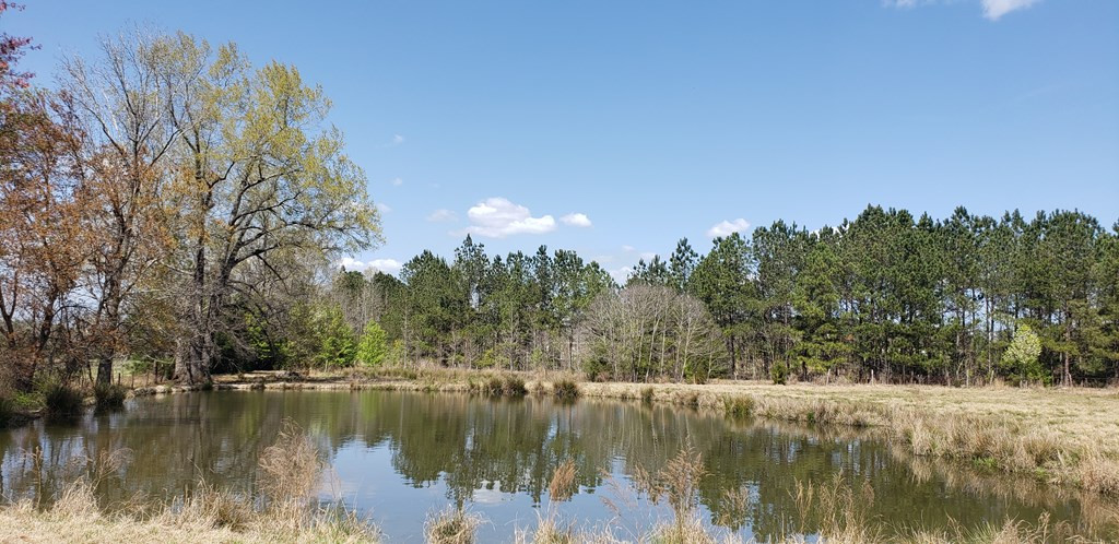716 Augusta Road Edgefield, SC 29824 - Photo 26 of 27