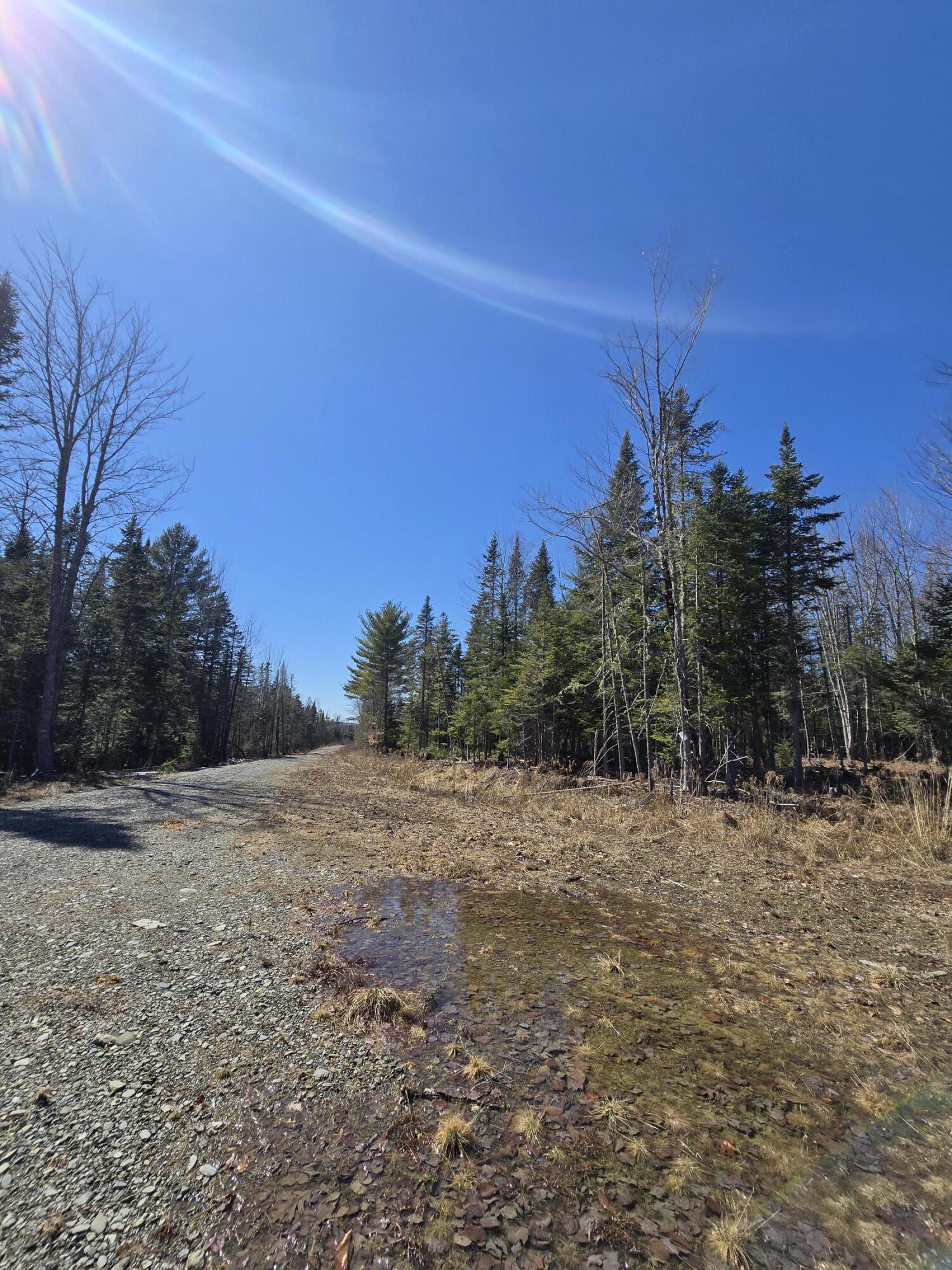 0 Chadbourne Road Harmony, ME 04942 - Photo 13 of 22 20260408_140305