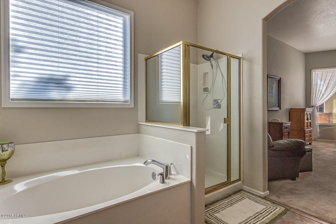 2289 East Victor Road Gilbert, AZ 85296 - Photo 22 of 43 Victor-22