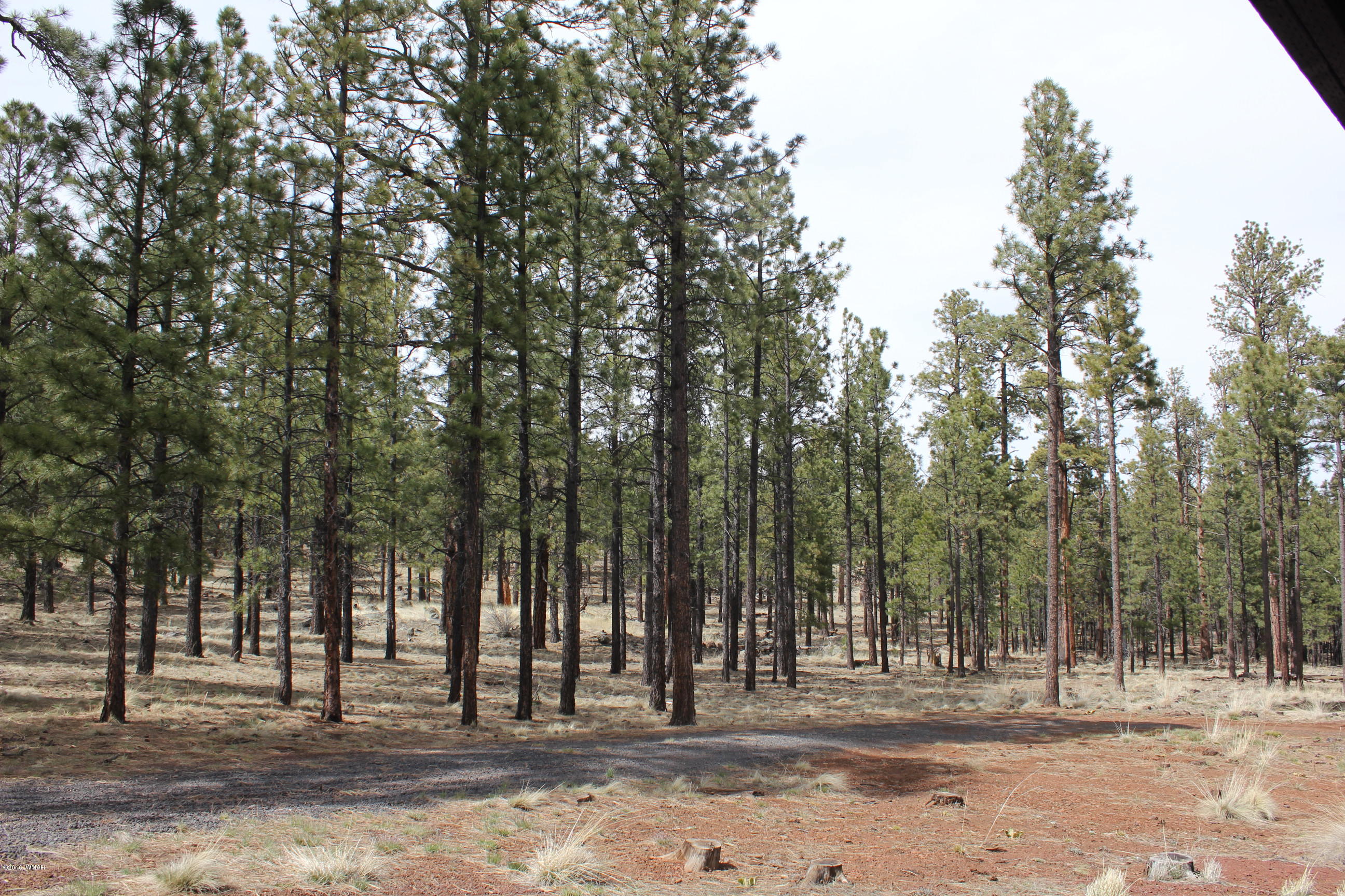 3-n 1047 Spring Road Vernon, AZ 85940 - Photo 30 of 36