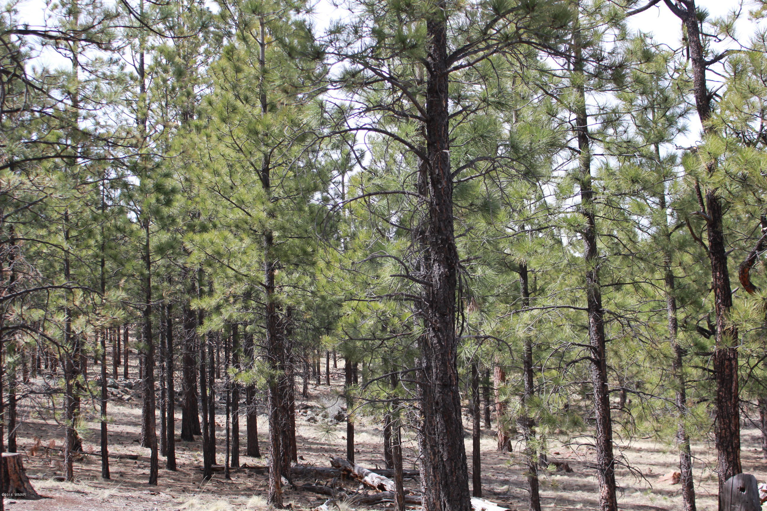 3-n 1047 Spring Road Vernon, AZ 85940 - Photo 32 of 36