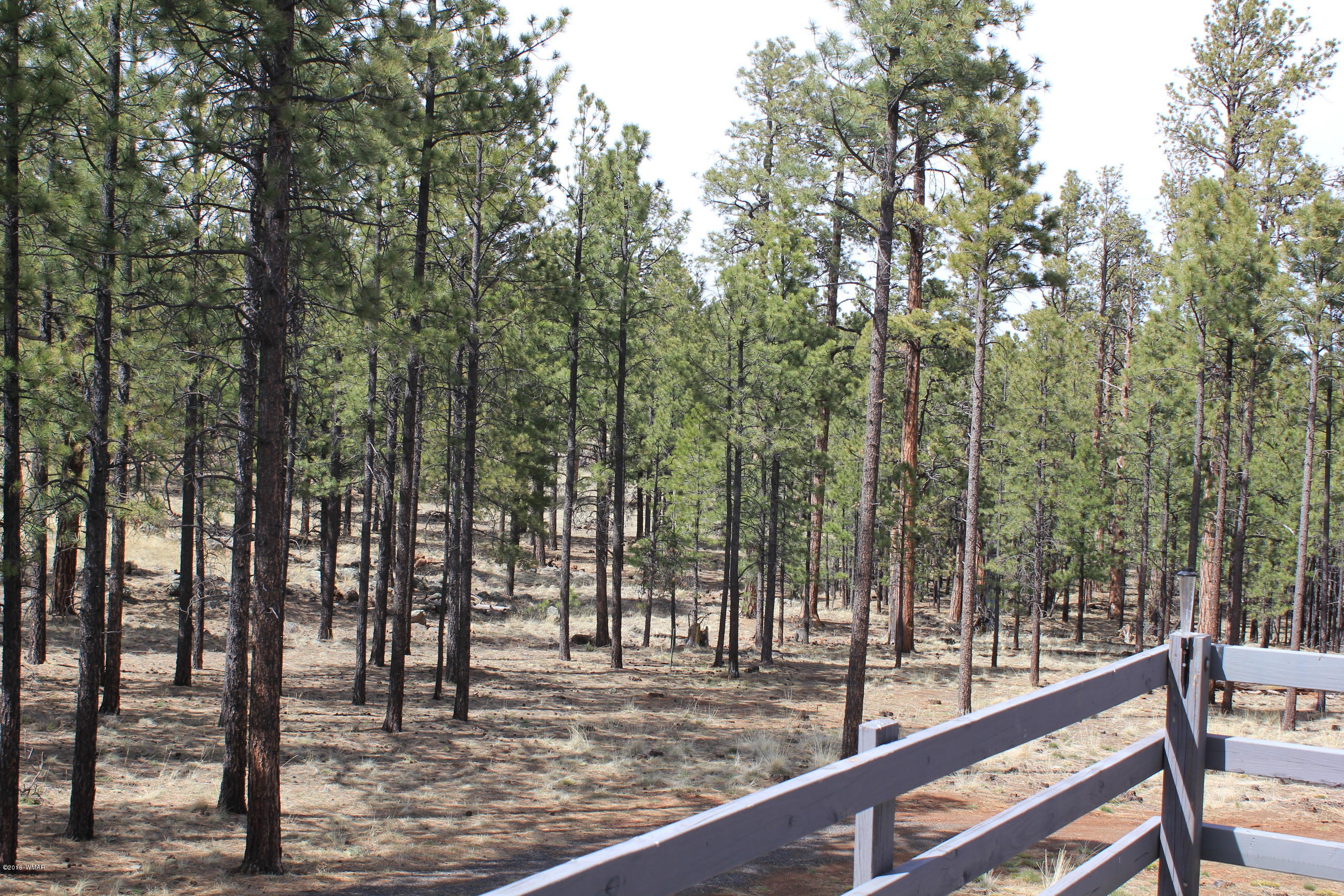 3-n 1047 Spring Road Vernon, AZ 85940 - Photo 33 of 36