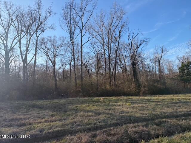 Raymond Road Jackson, MS 39212 - Photo 51 of 86 IMG_1055