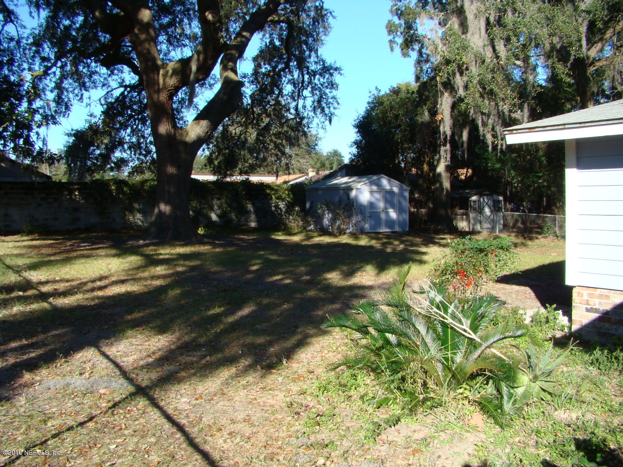 309 Noel Road Orange Park, FL 32073 - Photo 3 of 18 Backyard