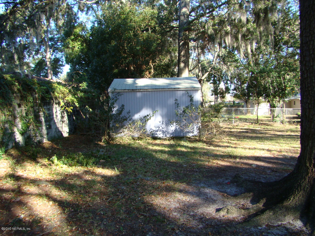 309 Noel Road Orange Park, FL 32073 - Photo 5 of 18 Shed