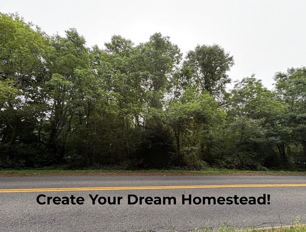 0 Rounseville Road Rochester, MA 02770 - Photo 2 of 10 a view of a street