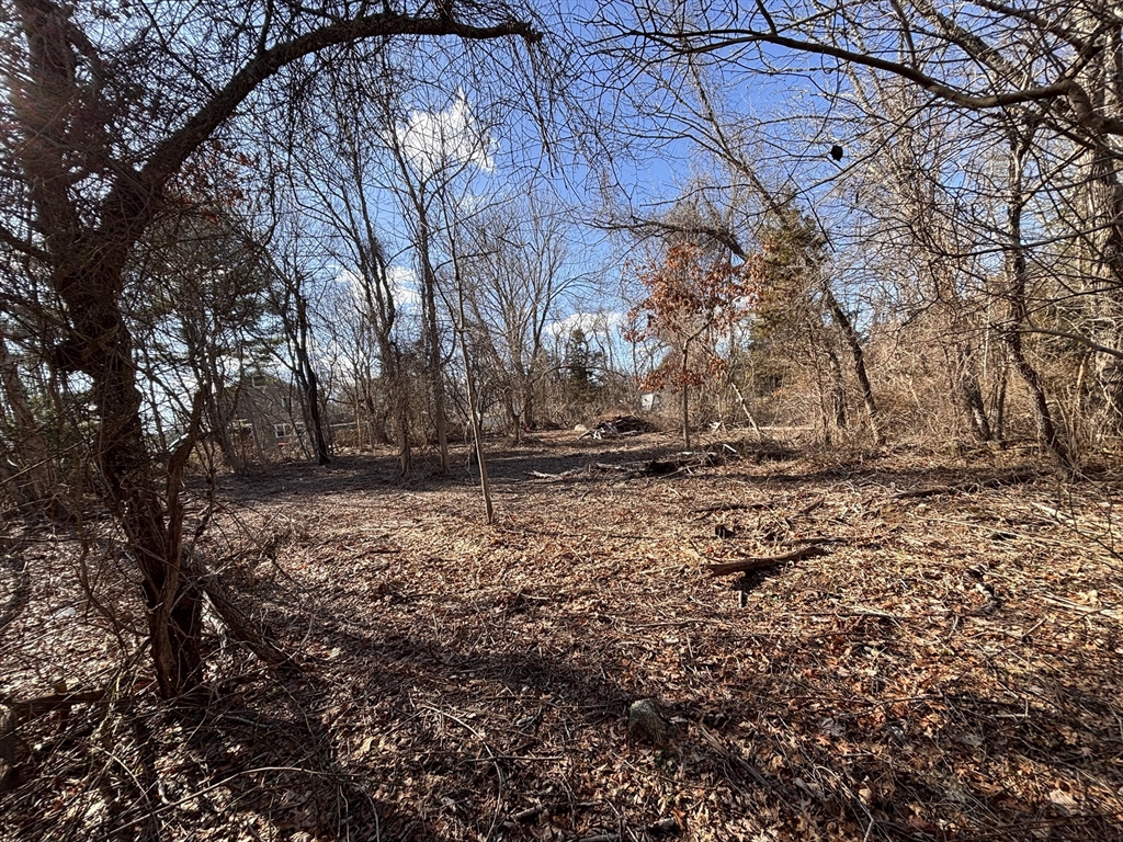 0 Rounseville Road Rochester, MA 02770 - Photo 5 of 10 a backyard of a house