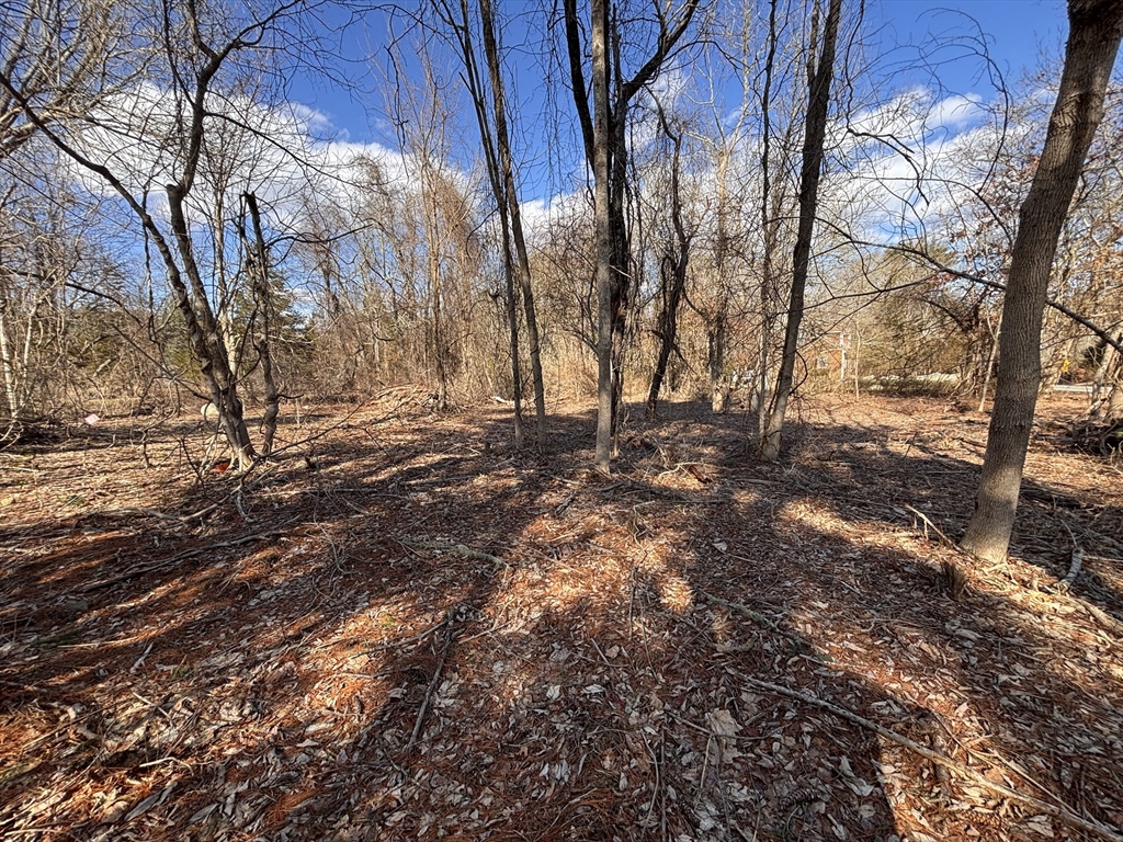 0 Rounseville Road Rochester, MA 02770 - Photo 7 of 10 a view of empty yard with large trees