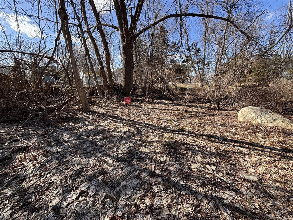 0 Rounseville Road Rochester, MA 02770 - Photo 8 of 10 a picture of trees