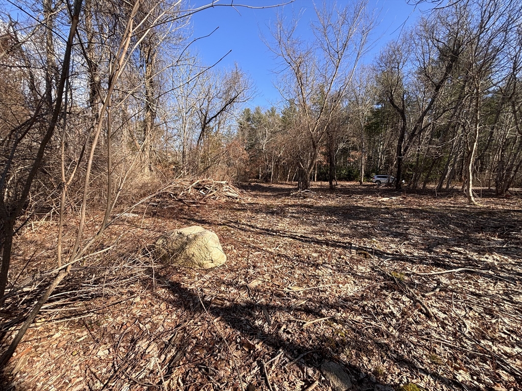 0 Rounseville Road Rochester, MA 02770 - Photo 9 of 10 a view of a yard with trees