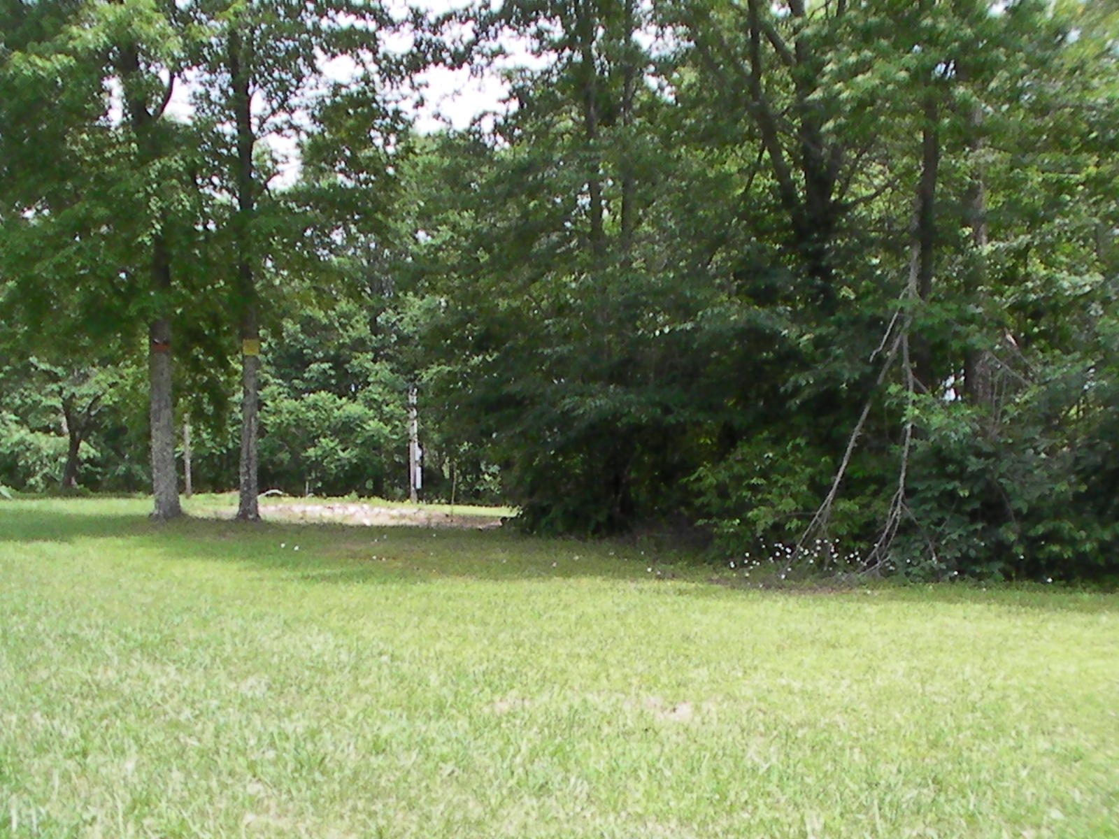 1021 Randolph Road Crossville, TN 38571 - Photo 2 of 6 SANY0001