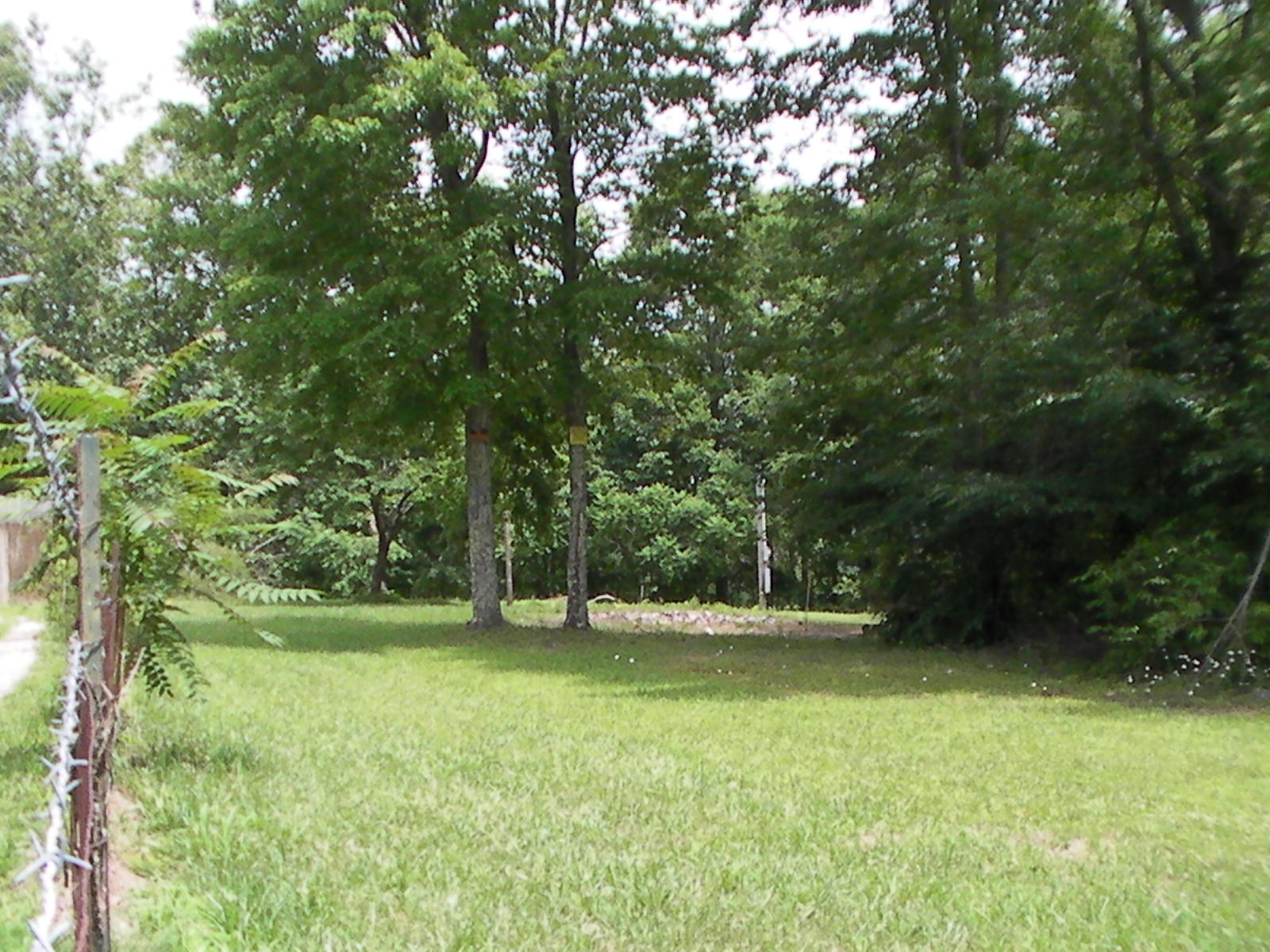 1021 Randolph Road Crossville, TN 38571 - Photo 3 of 6 SANY0002