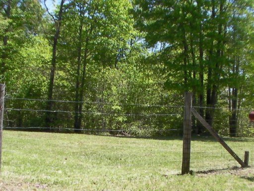 1021 Randolph Road Crossville, TN 38571 - Photo 4 of 6 Additional Photo