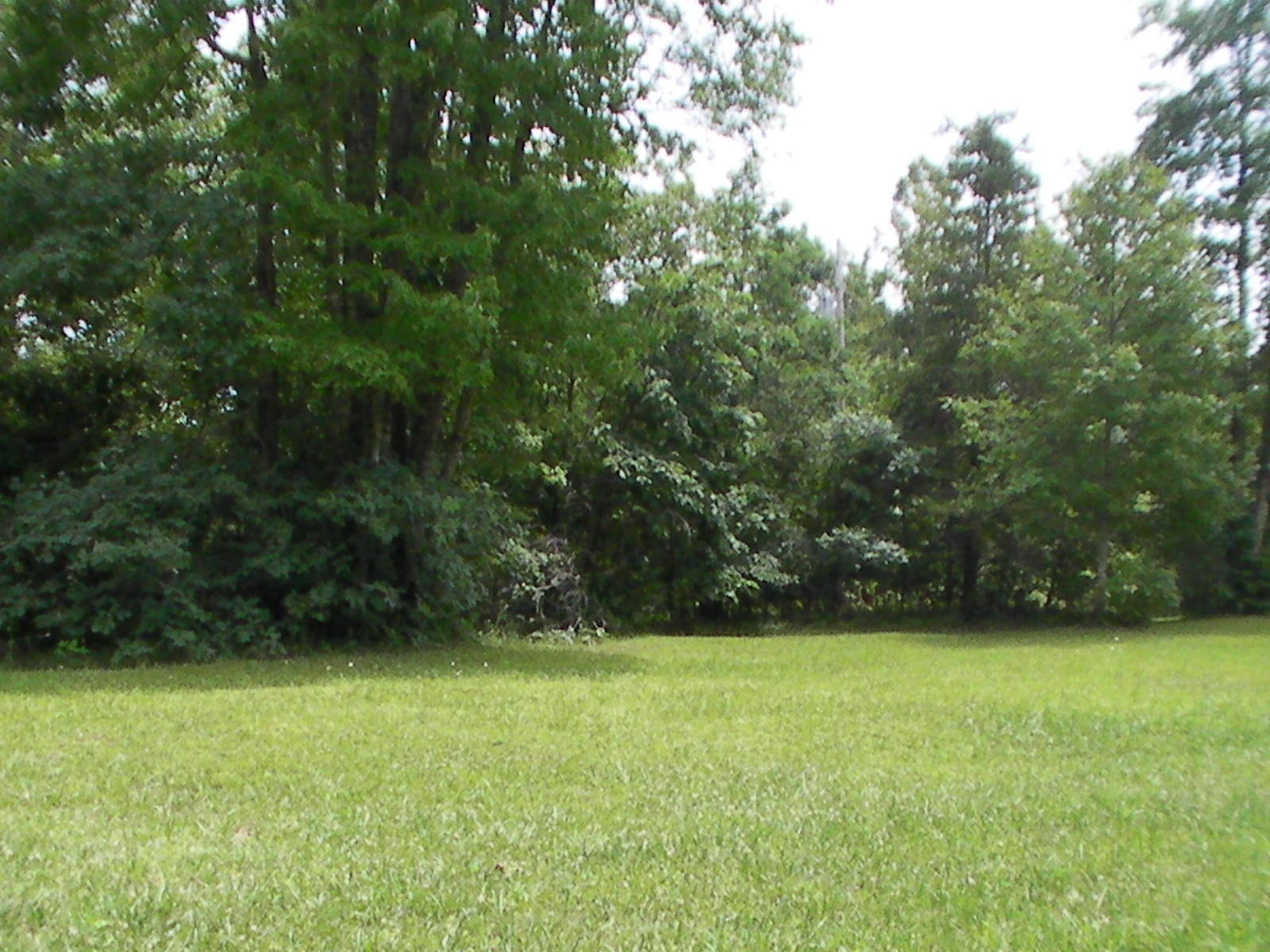 1021 Randolph Road Crossville, TN 38571 - Photo 6 of 6 SANY0003