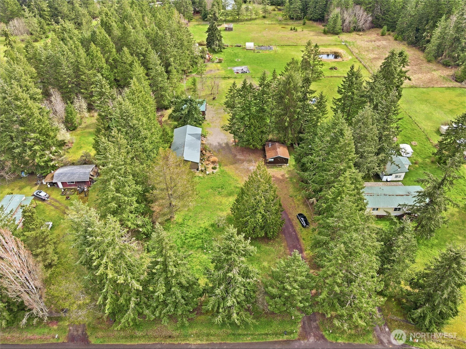 470 Sunshine Drive Sequim, WA 98382 - Photo 29 of 30 a view of a yard with plants