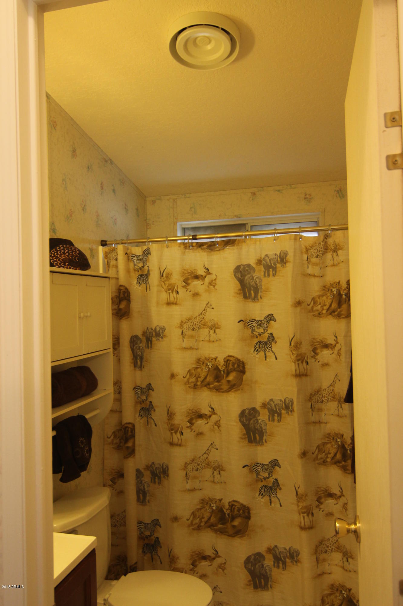 20102 West Arlington Road Buckeye, AZ 85326 - Photo 56 of 66 Hall bath 1