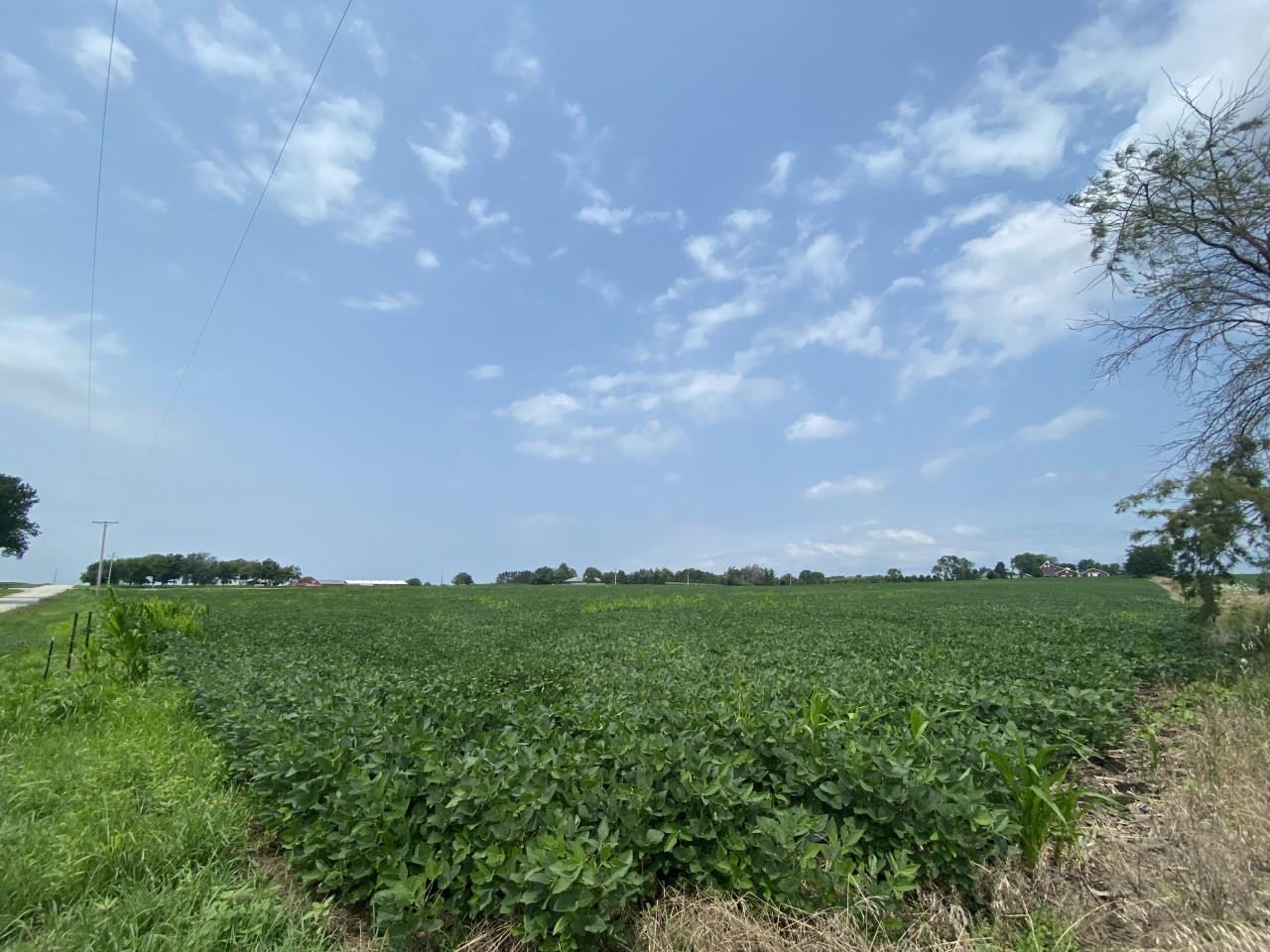 Parcel A South Kankakee Street Manhattan, IL 60442 - Photo 1 of 1