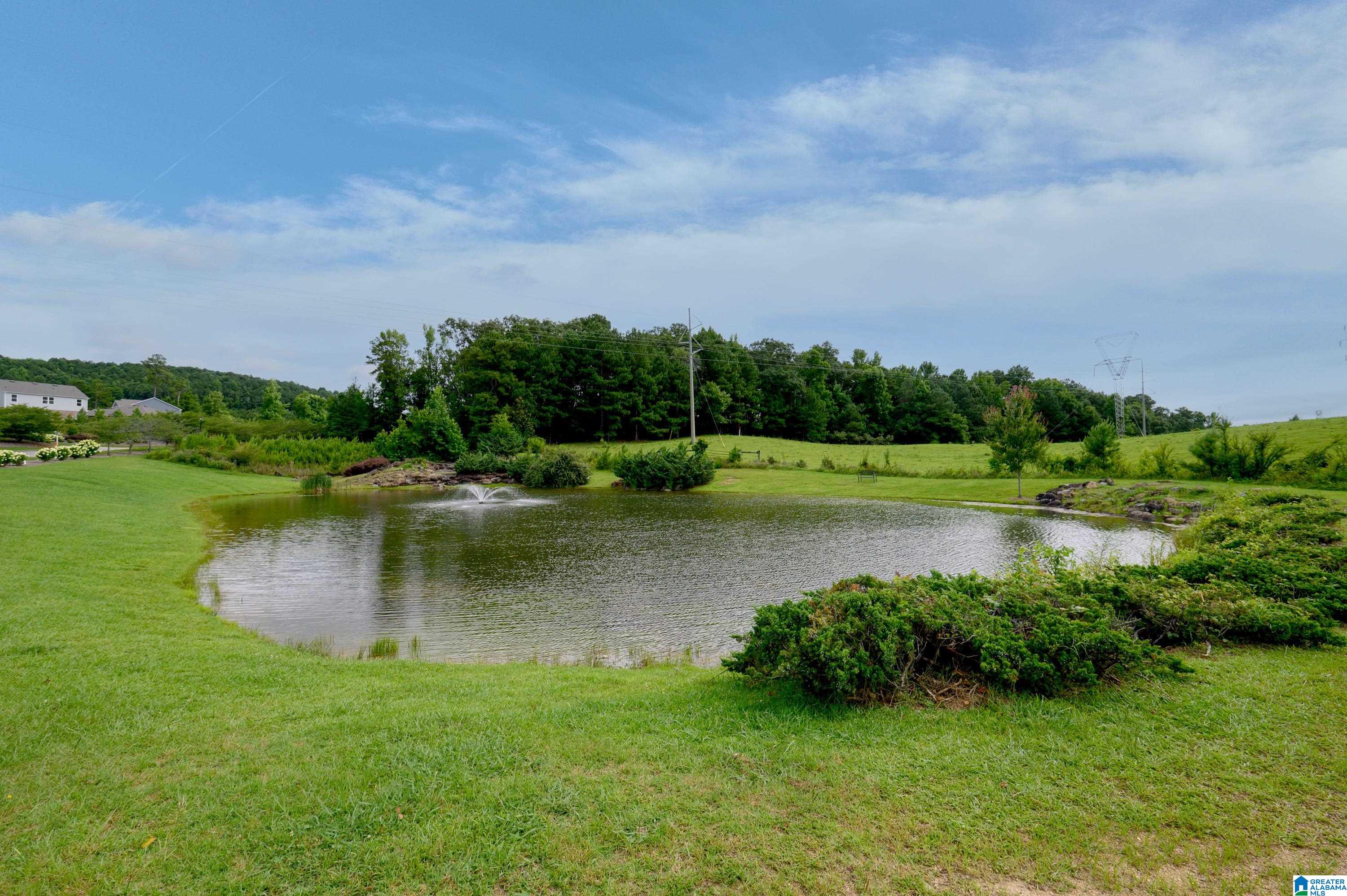 6982 Southern Trace Loop Leeds, AL 35094 - Photo 44 of 46