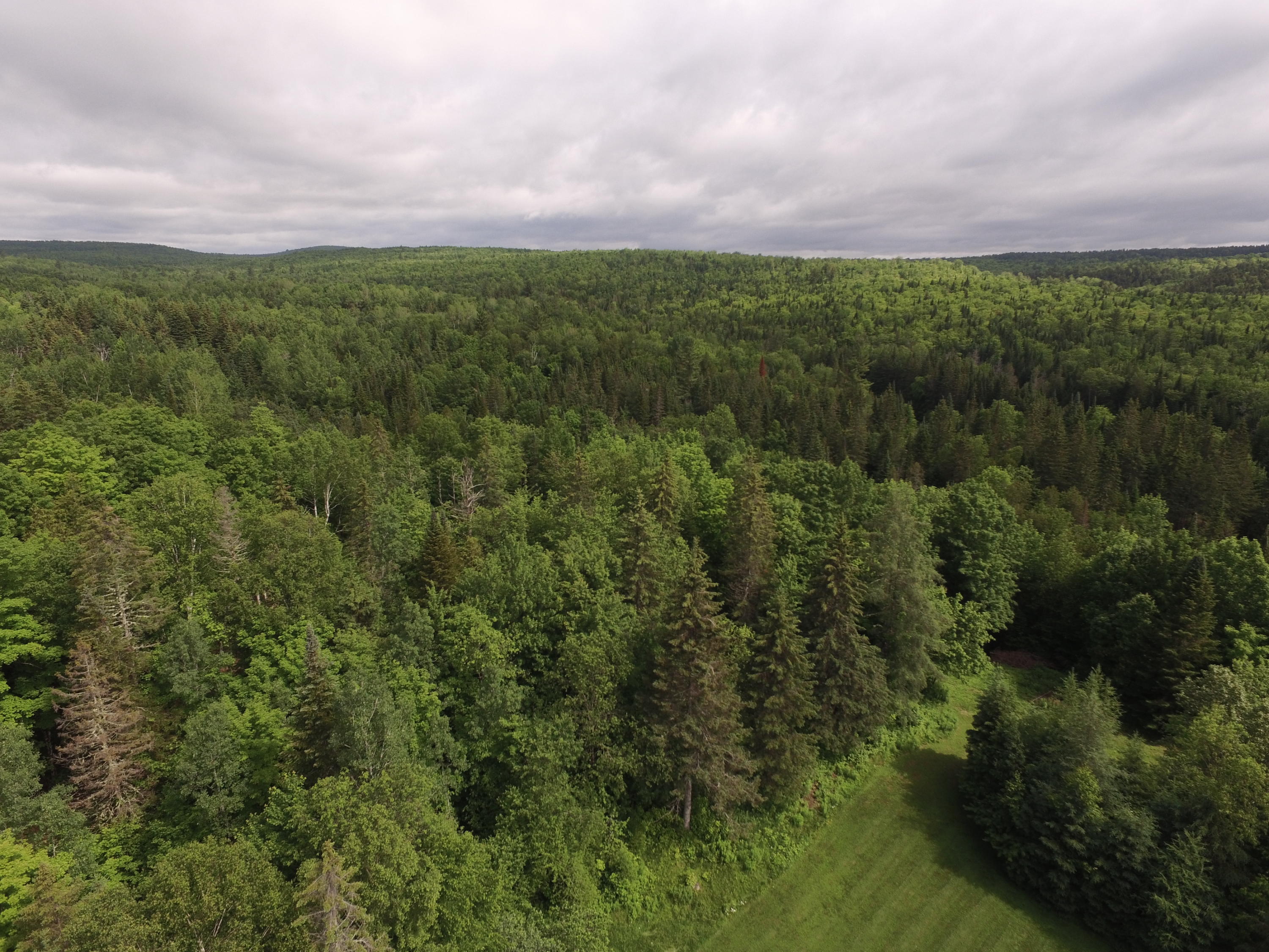1661 Ludlow Road Houlton, ME 04730 - Photo 26 of 63 DJI_0060