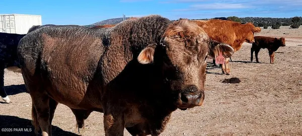 $265,000 | Xxxx West Xxxx W Old Limestone Lane, Seligman, AZ 86337