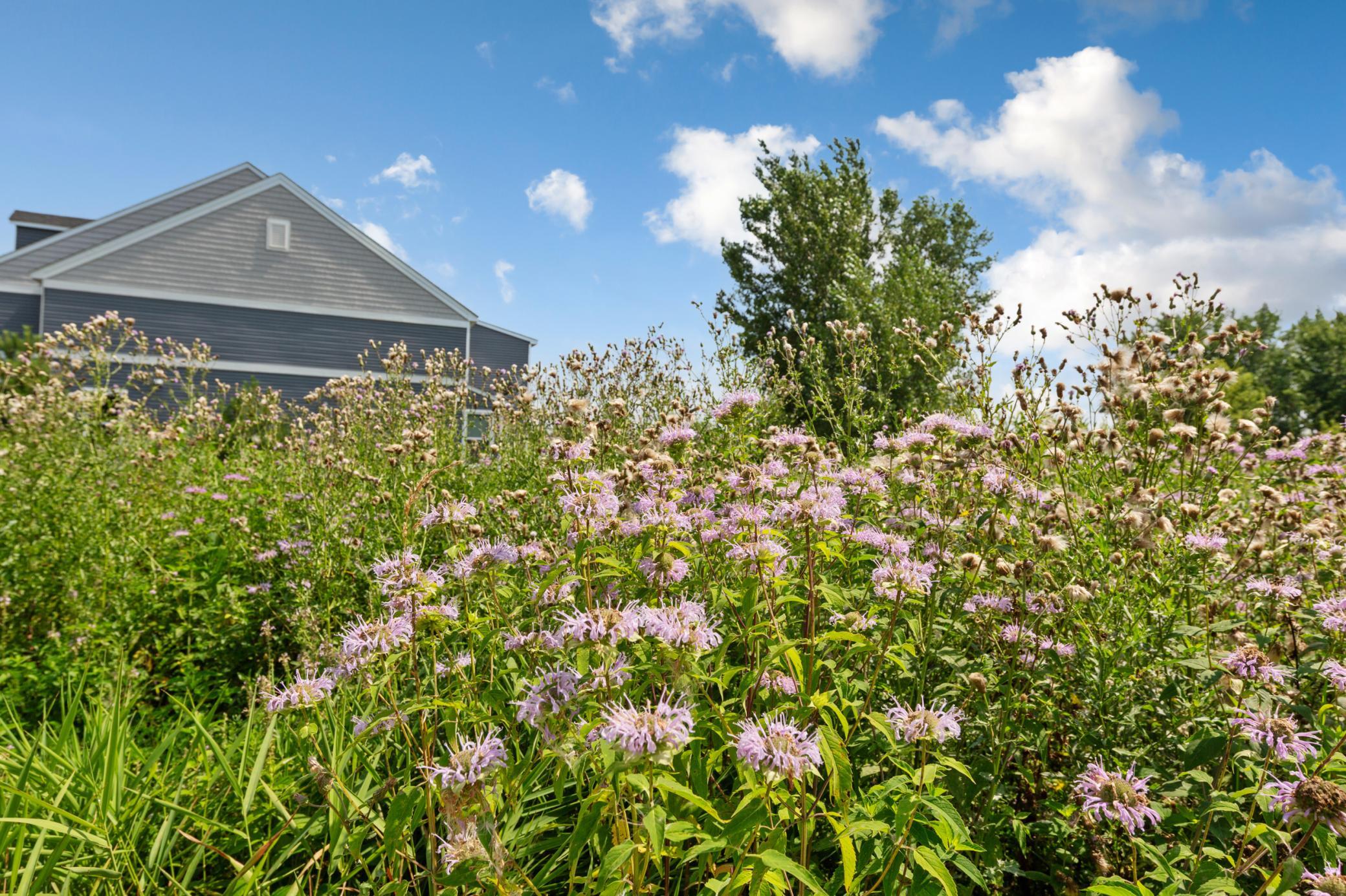 762 Stonegate Road Chanhassen, MN 55317 - Photo 42 of 43 Gallery Image 42