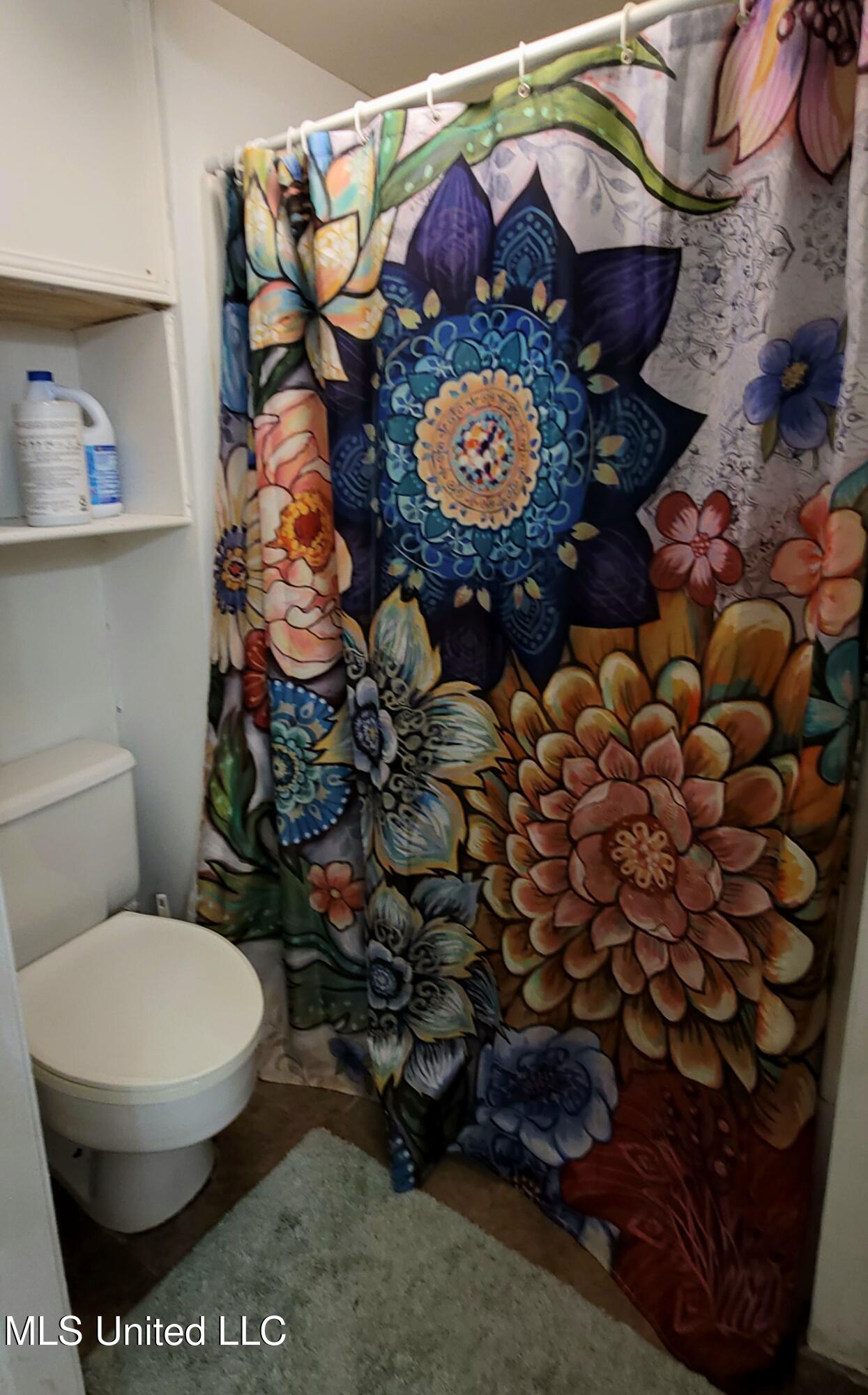 415 St Augustine Drive Madison, MS 39110 - Photo 21 of 52 Bonus private bath