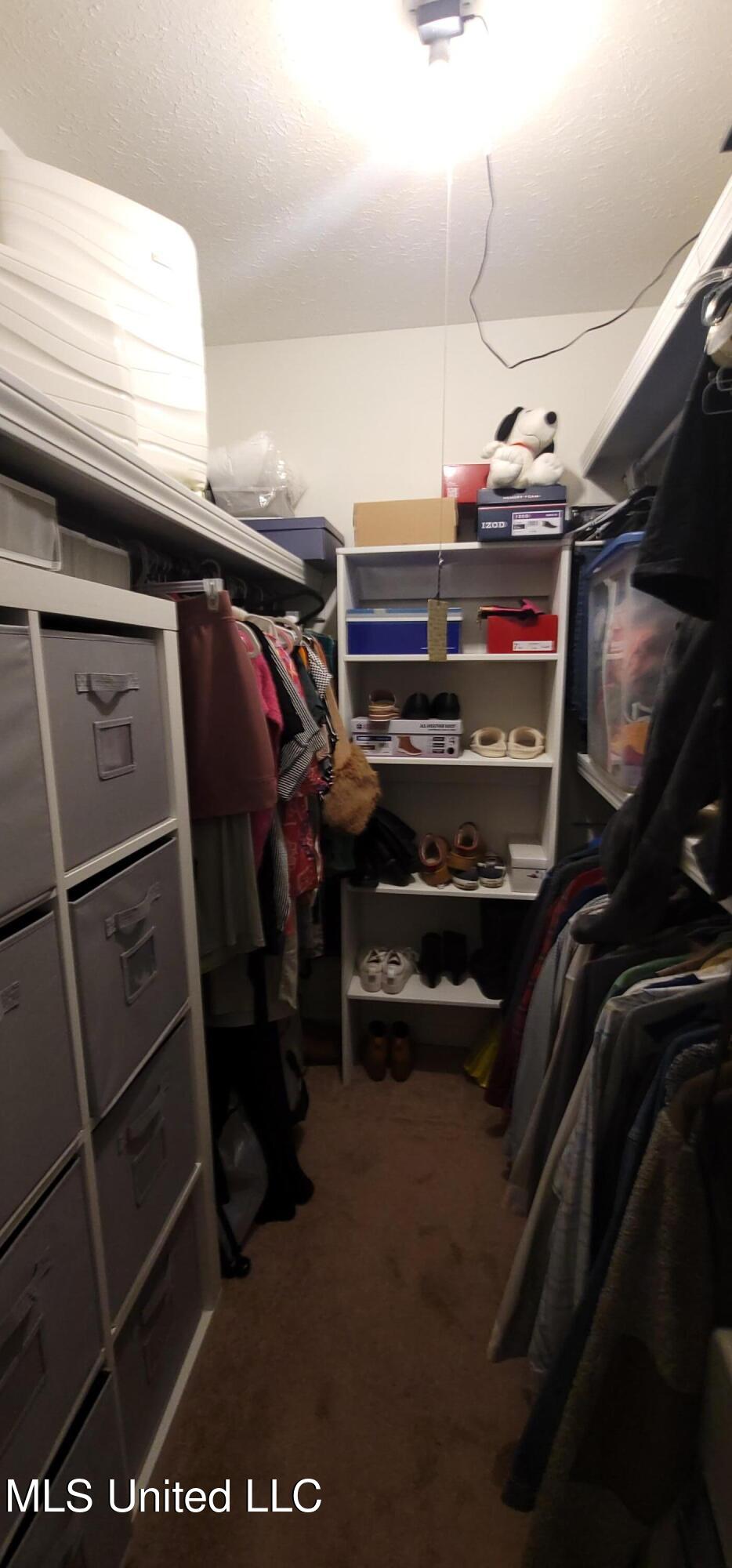 415 St Augustine Drive Madison, MS 39110 - Photo 27 of 52 Master walk in