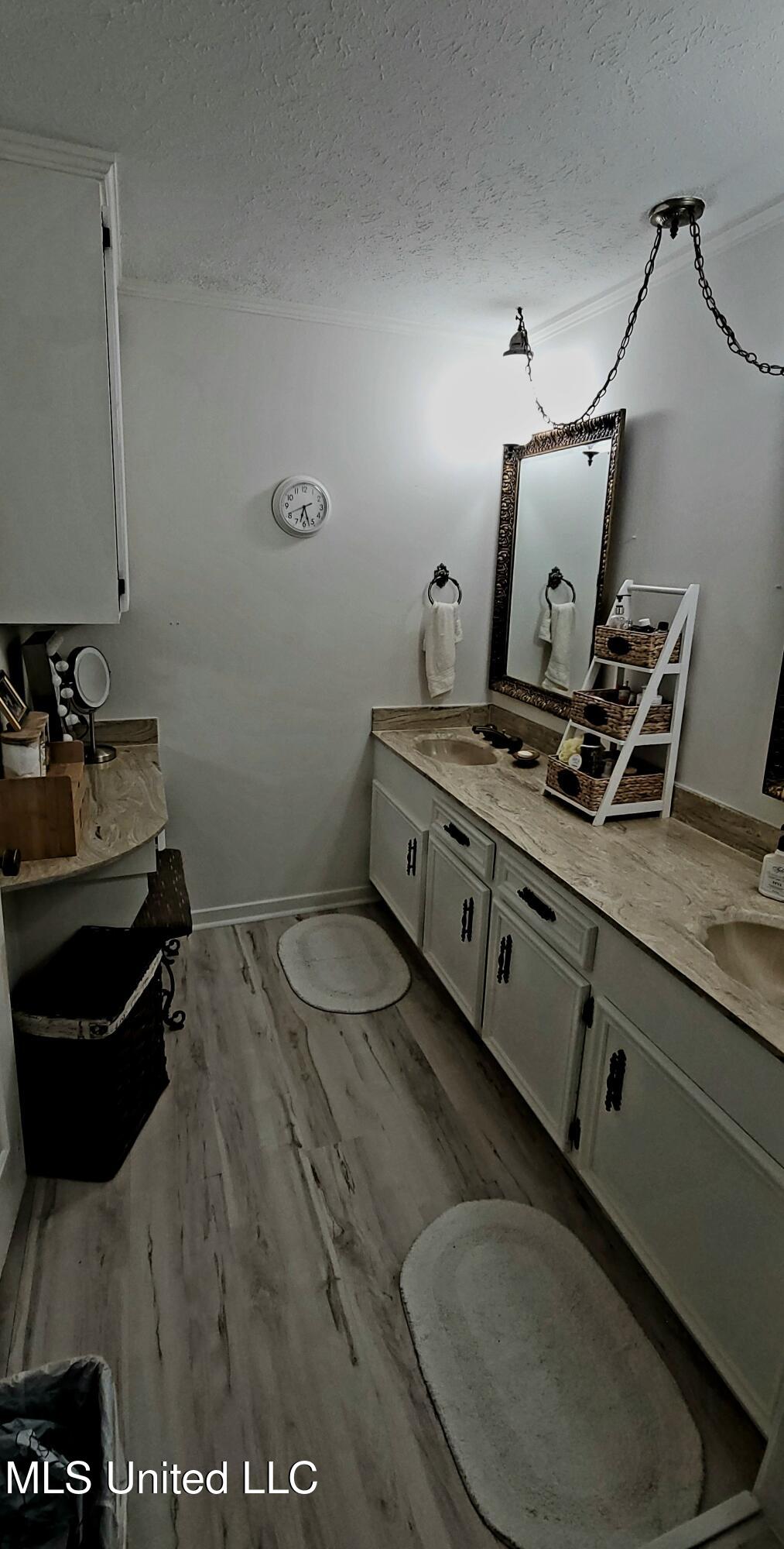 415 St Augustine Drive Madison, MS 39110 - Photo 29 of 52 Master bath