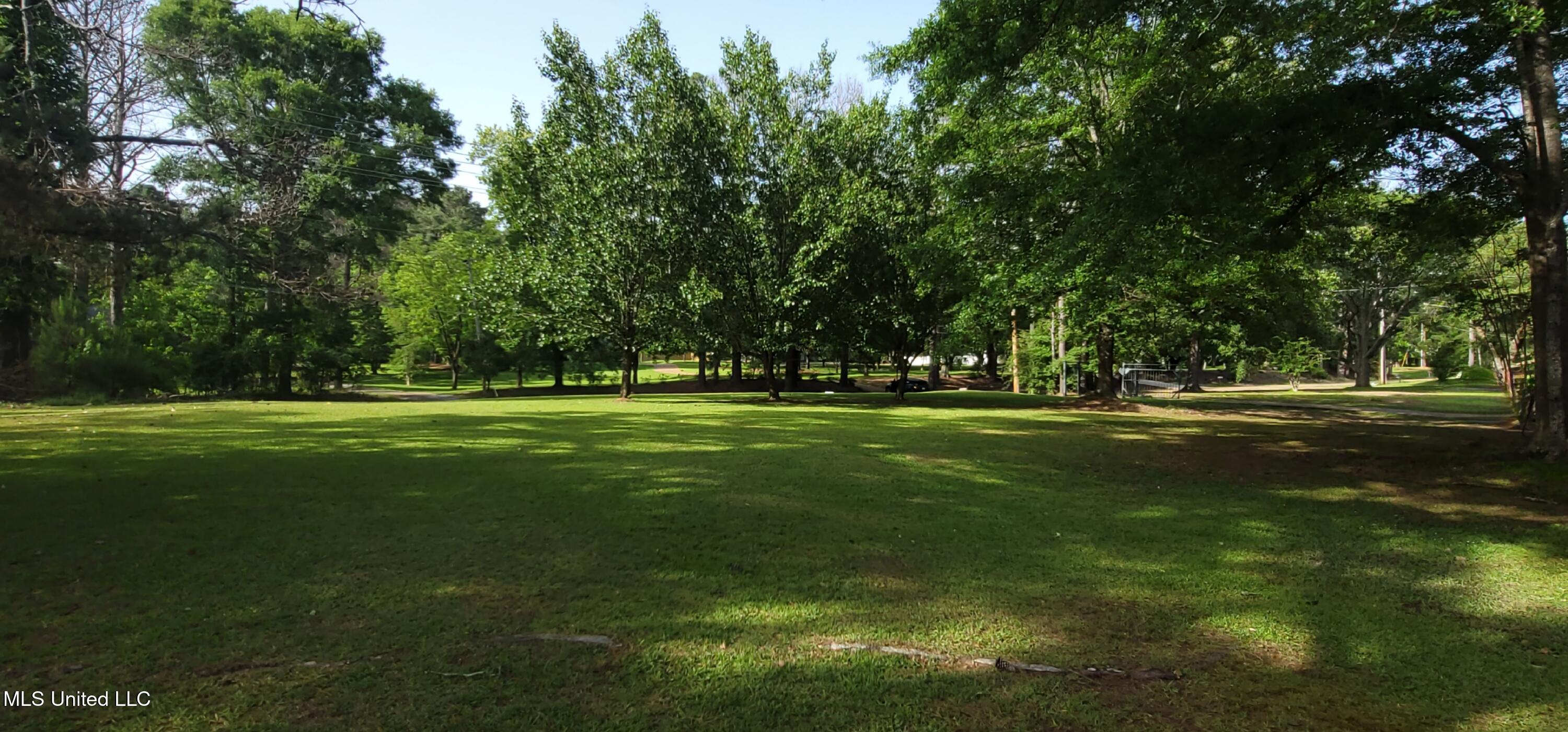 415 St Augustine Drive Madison, MS 39110 - Photo 4 of 52 Front yard