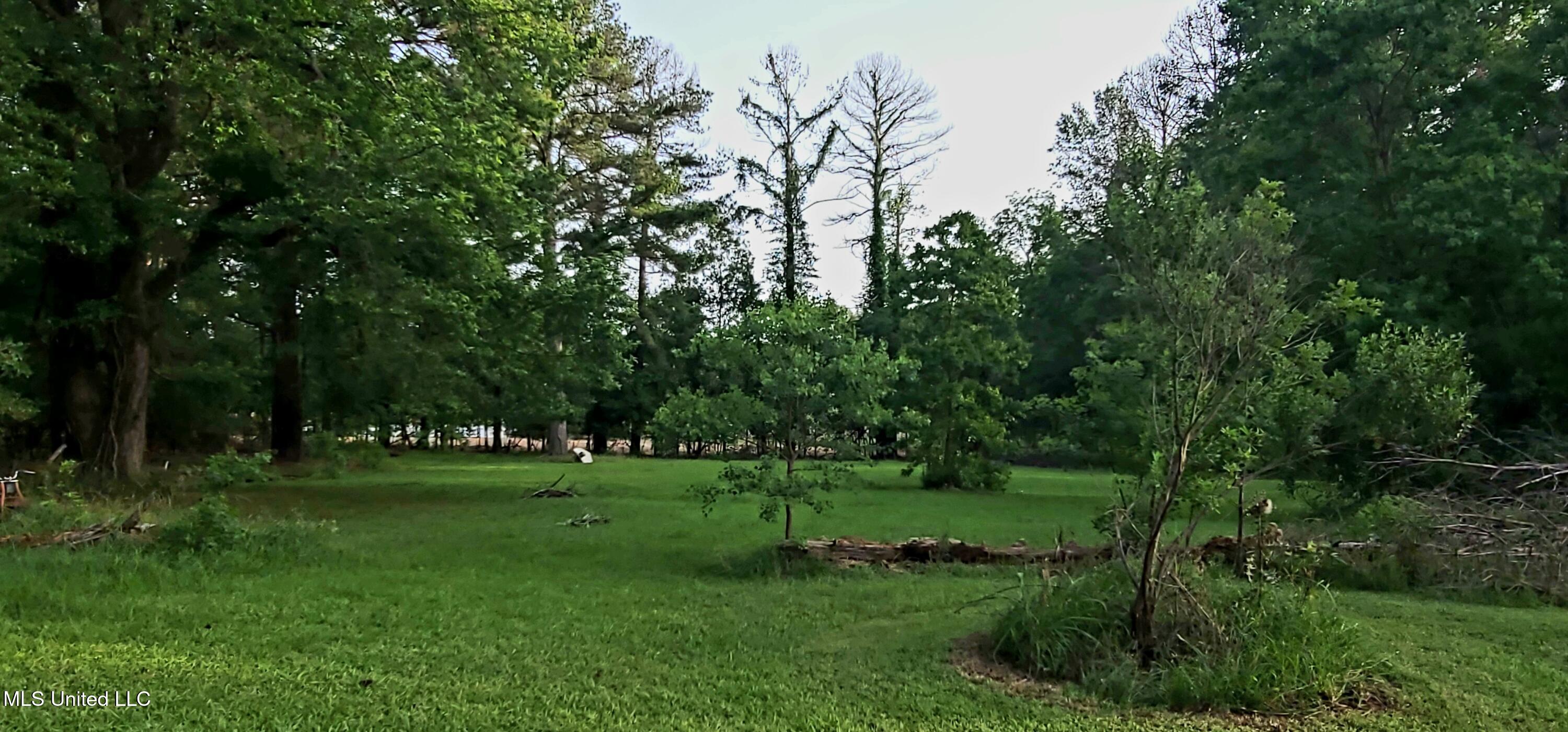 415 St Augustine Drive Madison, MS 39110 - Photo 49 of 52 Yard