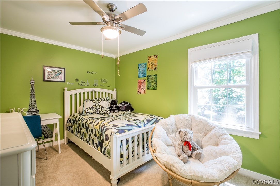 2403 Tanglebrook Road Midlothian, VA 23112 - Photo 16 of 25 Gallery Image 16