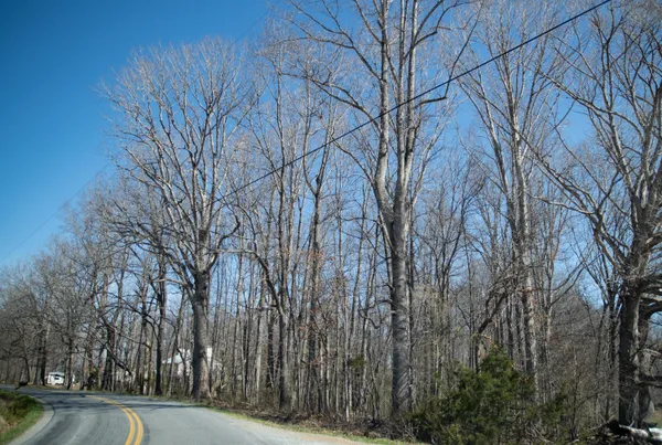 $39,500 | 0 Morgans Church Road, Bedford, VA 24523