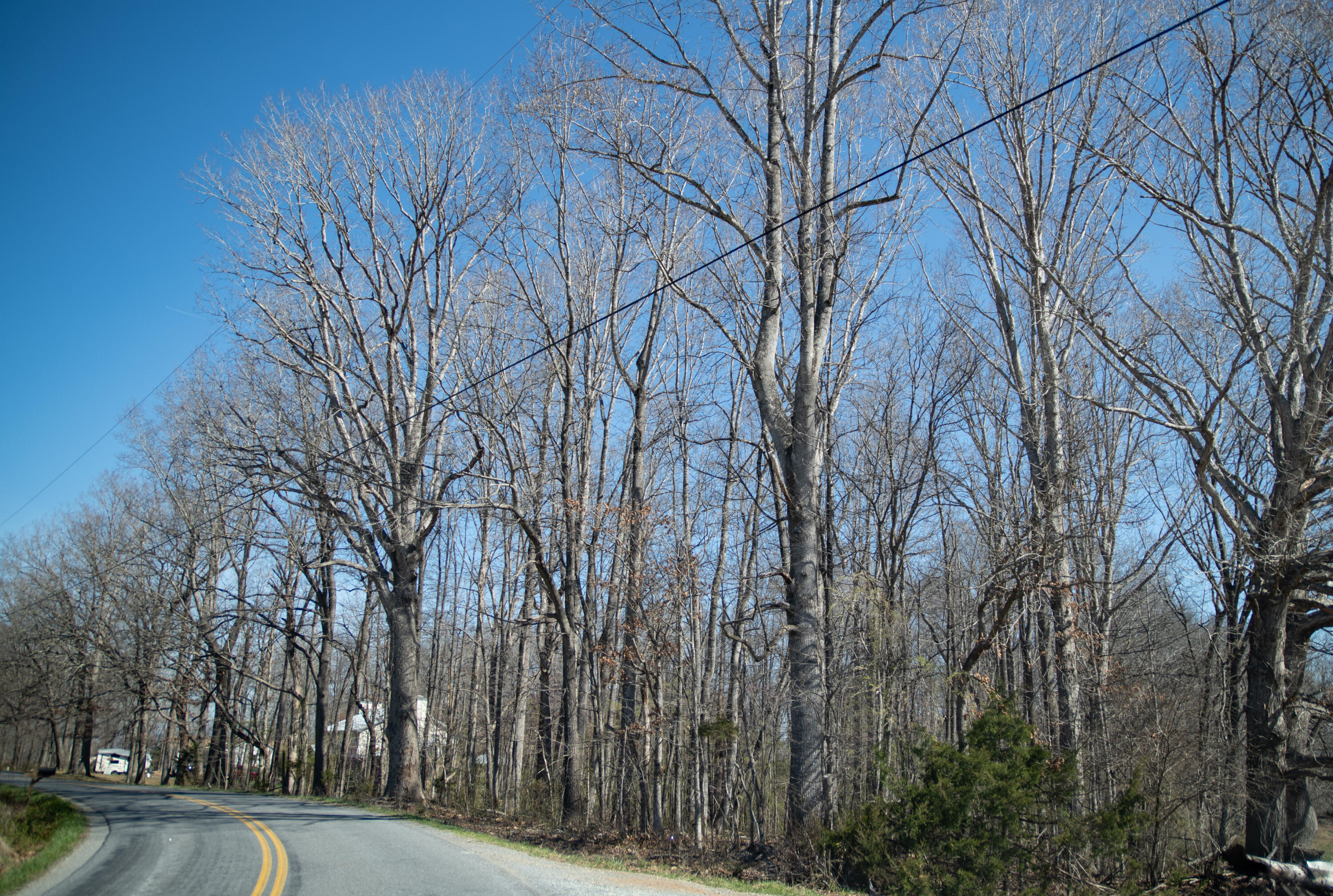 0 Morgans Church Road Bedford, VA 24523 - Photo 1 of 4 1.67 Acres on Morgans Church Road